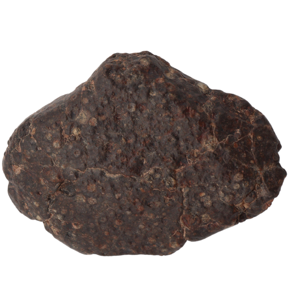 Erg Chech 008 Meteorite Carbonaceous Chondrite CR2 57.5 g. - MBS meteorite 