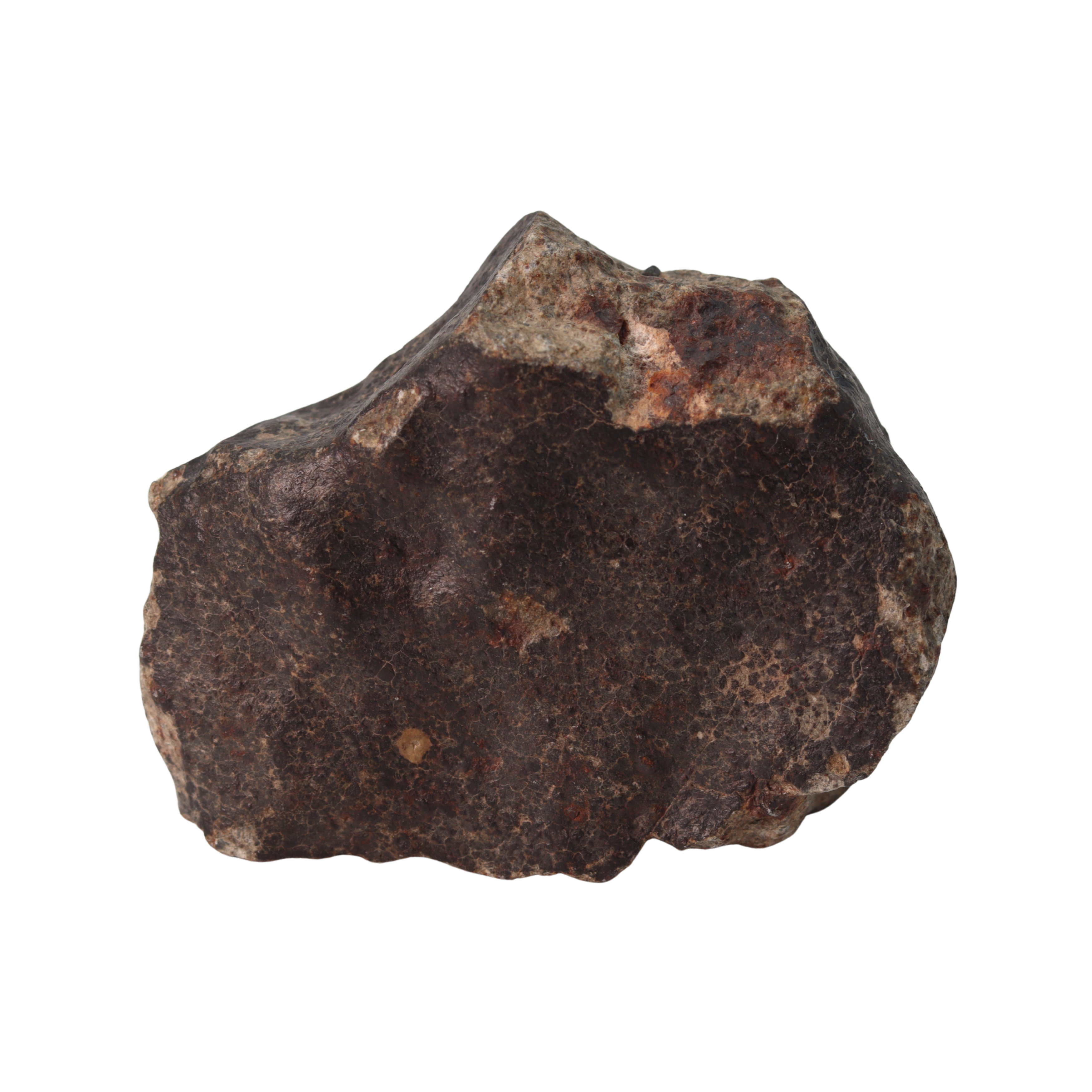 NWA 13281 Meteorite Ordinary Chondrite L5 (145 g) - MBS meteorite 