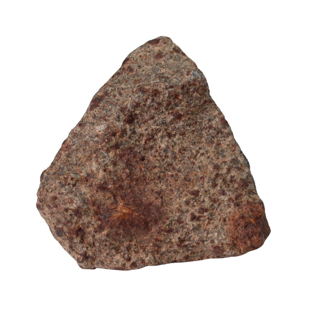 NWA 13281 Meteorite Ordinary Chondrite L5 (149 g) - MBS meteorite 