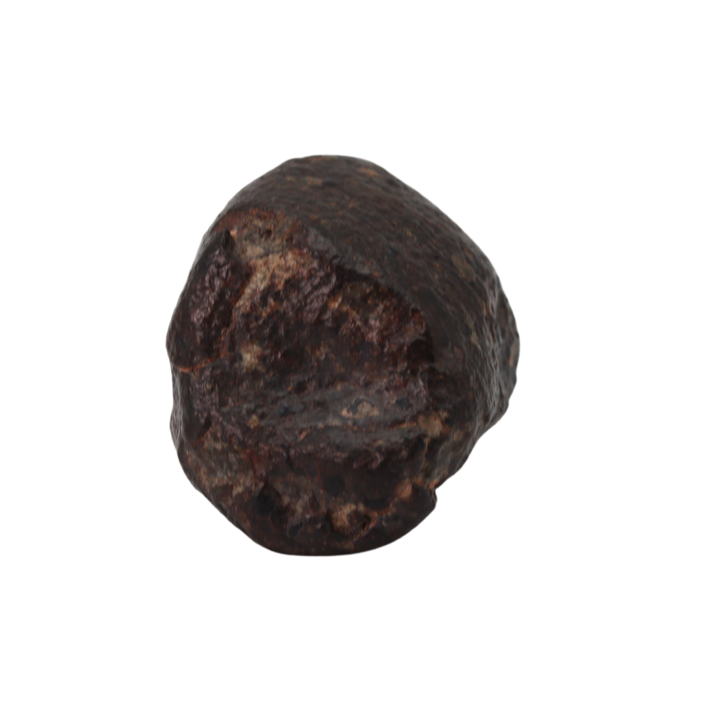 NWA 869 Meteorite Ordinary Chondrite Regolith Breccia (22.11 g) - MBS meteorite 