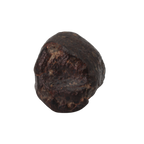 NWA 869 Meteorite Ordinary Chondrite Regolith Breccia (22.11 g) - MBS meteorite 