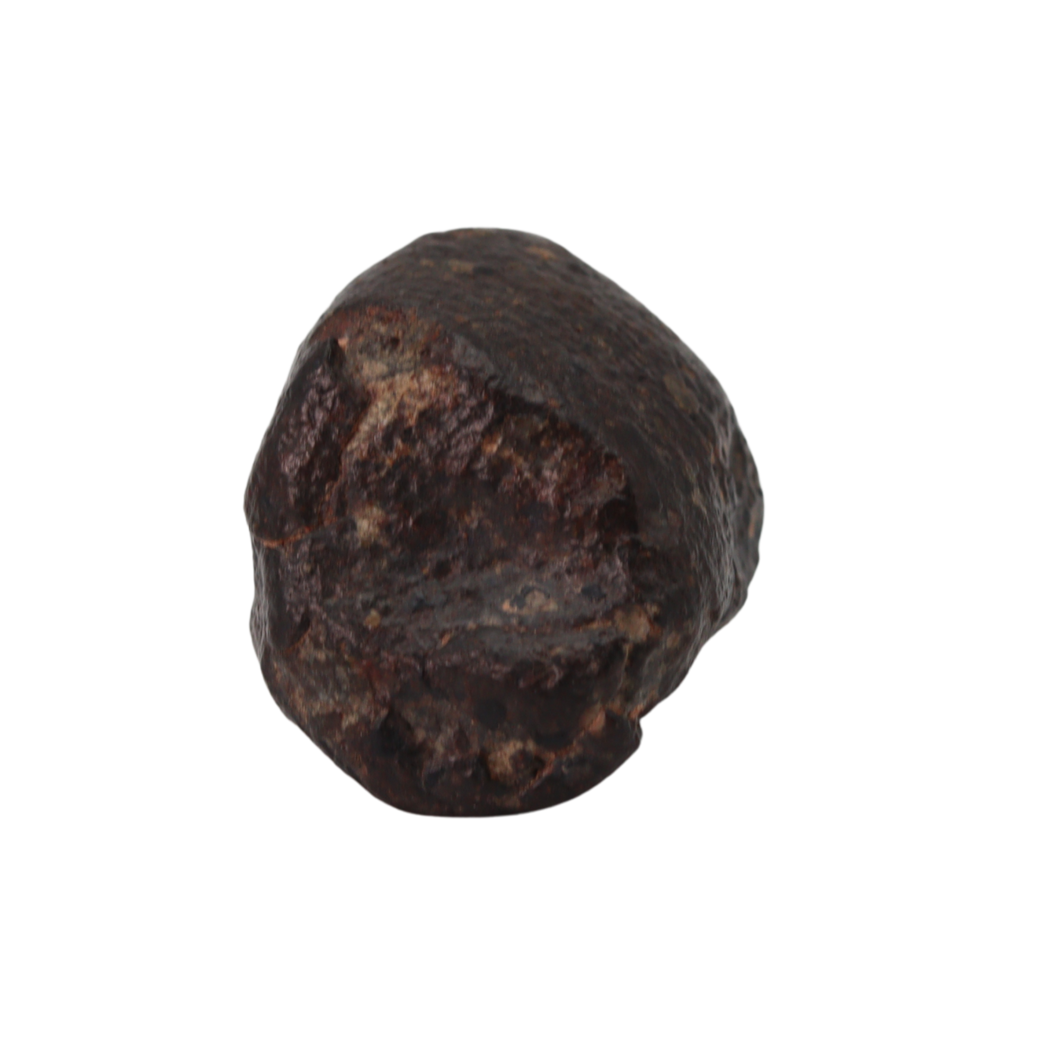 NWA 869 Meteorite Ordinary Chondrite Regolith Breccia (22.11 g) - MBS meteorite 