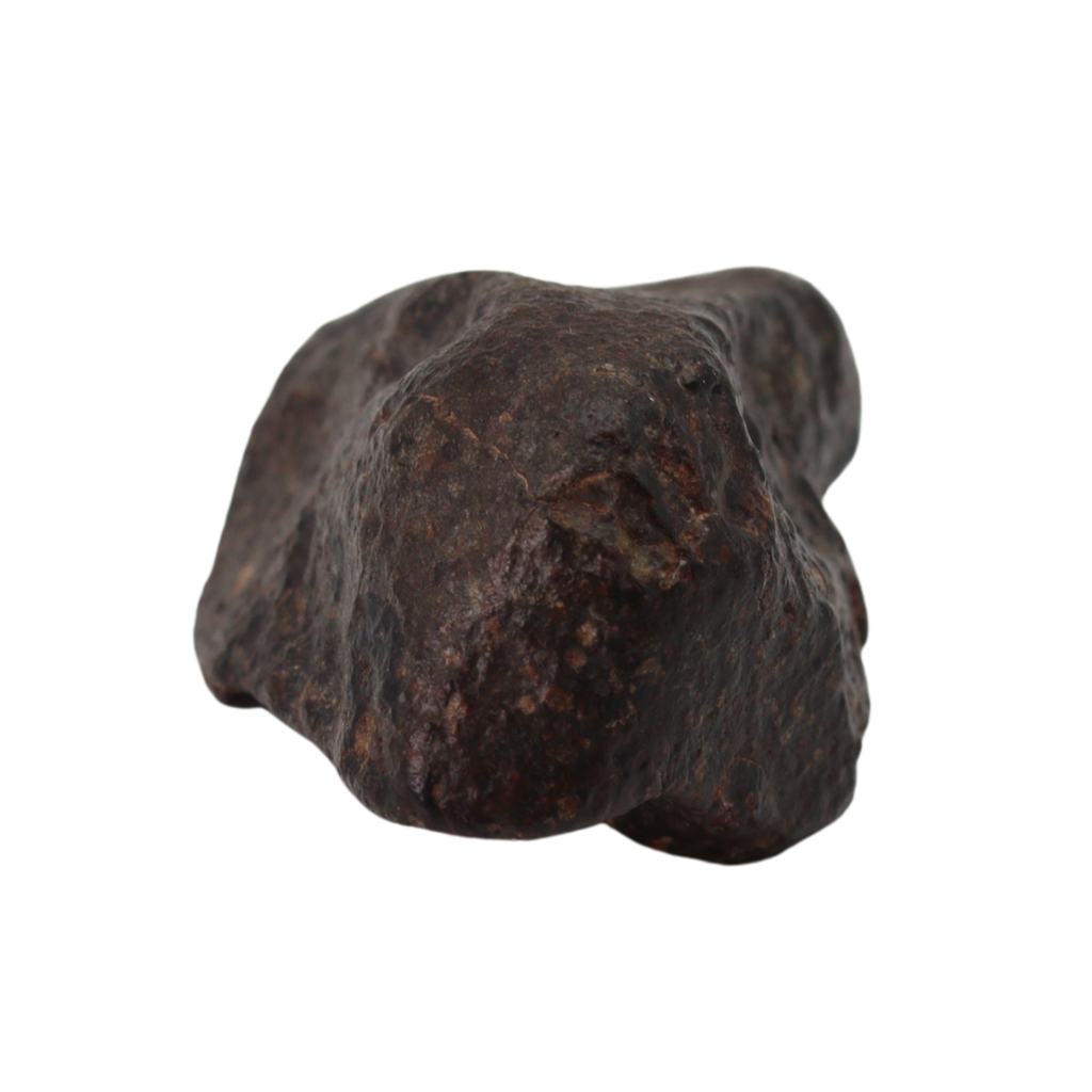 NWA 869 Meteorite Ordinary Chondrite Regolith Breccia (24.00 g). - MBS meteorite 