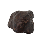 NWA 869 Meteorite Ordinary Chondrite Regolith Breccia (24.00 g). - MBS meteorite 