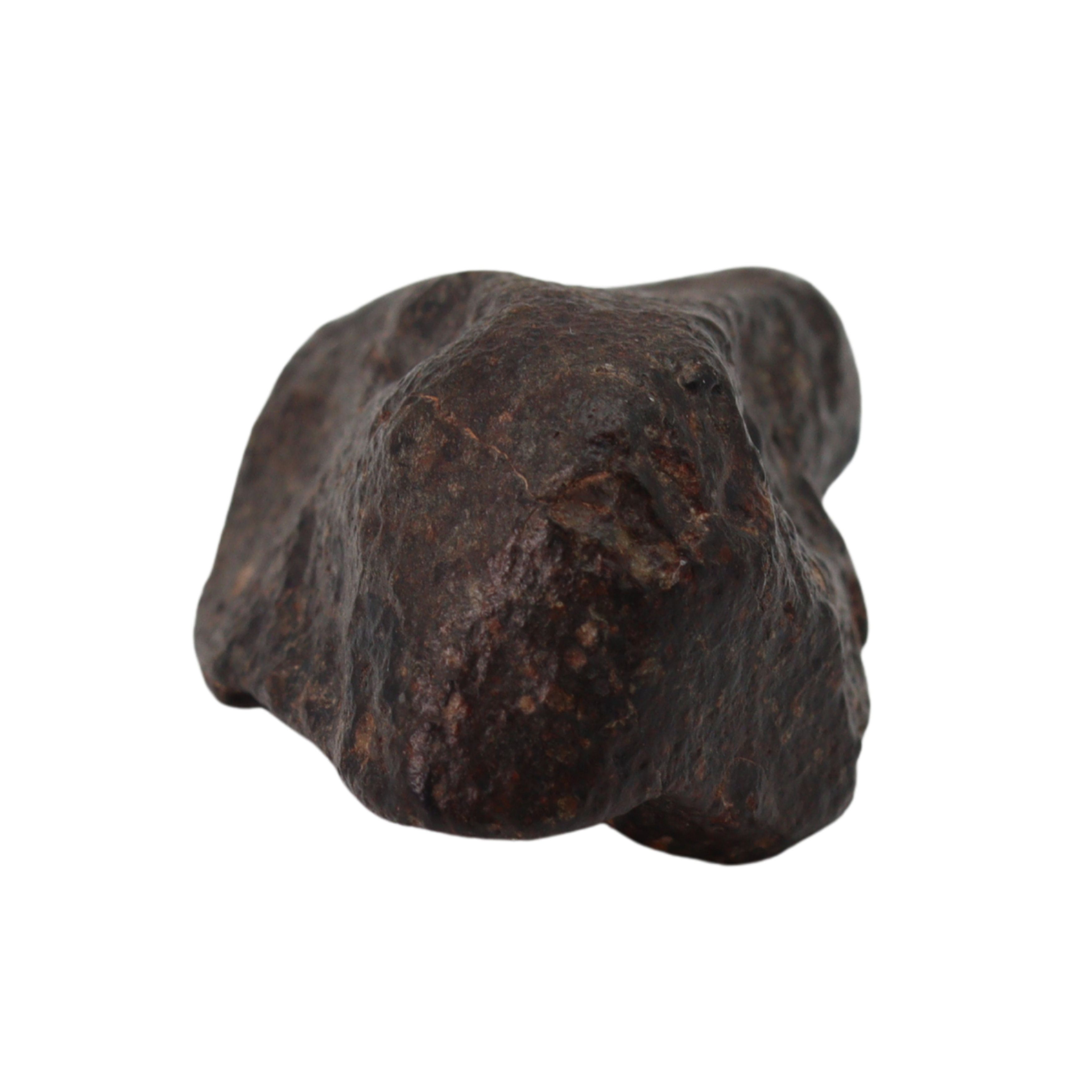 NWA 869 Meteorite Ordinary Chondrite Regolith Breccia (24.00 g). - MBS meteorite 