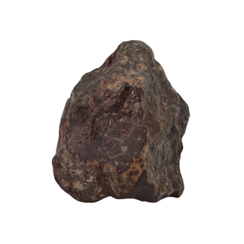 NWA 869 Meteorite Ordinary Chondrite Regolith Breccia (15.36 g) - MBS meteorite 