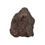 NWA 869 Meteorite Ordinary Chondrite Regolith Breccia (15.36 g) - MBS meteorite 