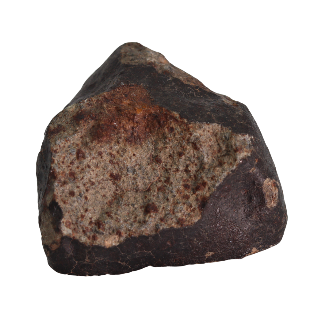 NWA 13281 Meteorite L5 Chondrite Hand Specimen (115 g). - MBS meteorite 