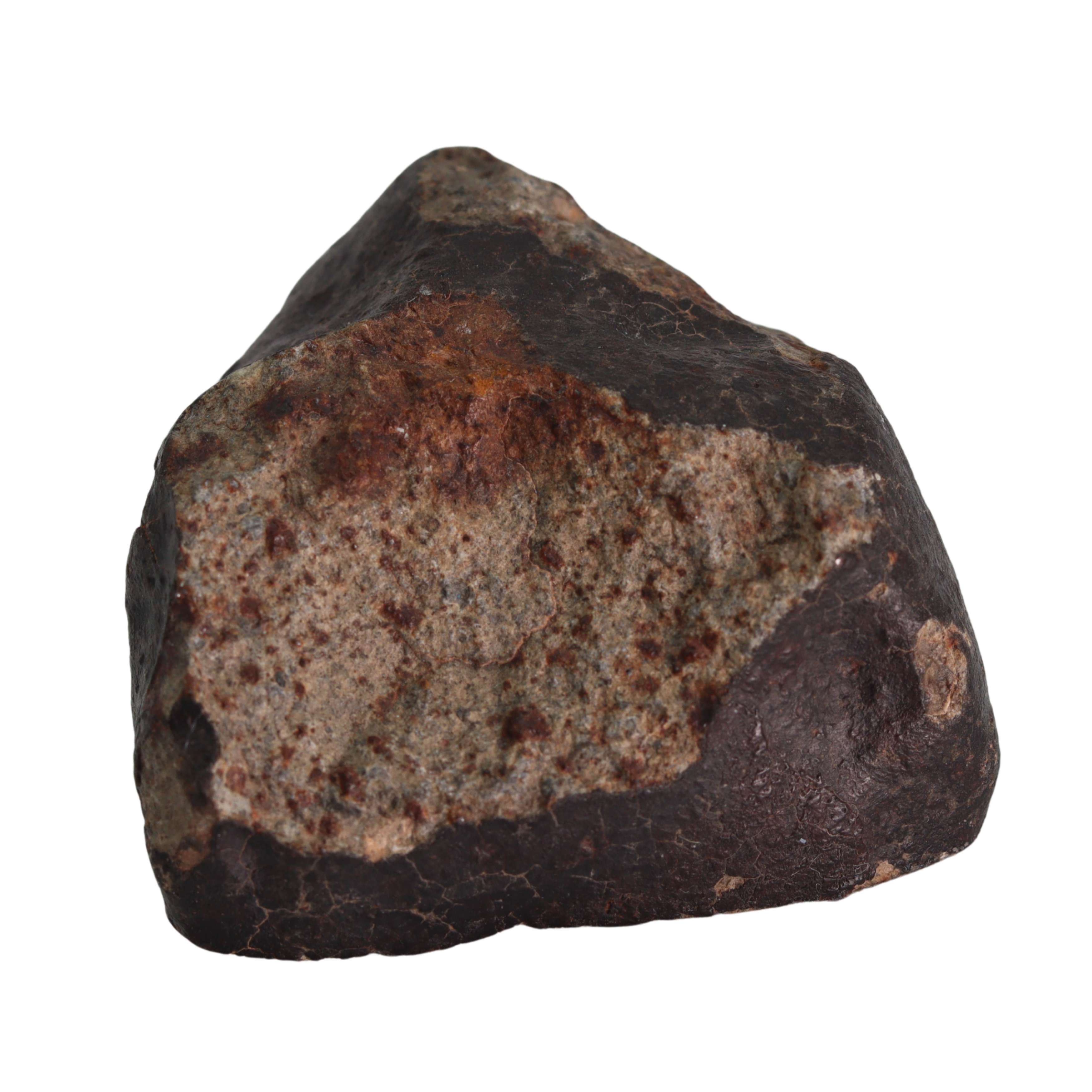 NWA 13281 Meteorite L5 Chondrite Hand Specimen (115 g). - MBS meteorite 