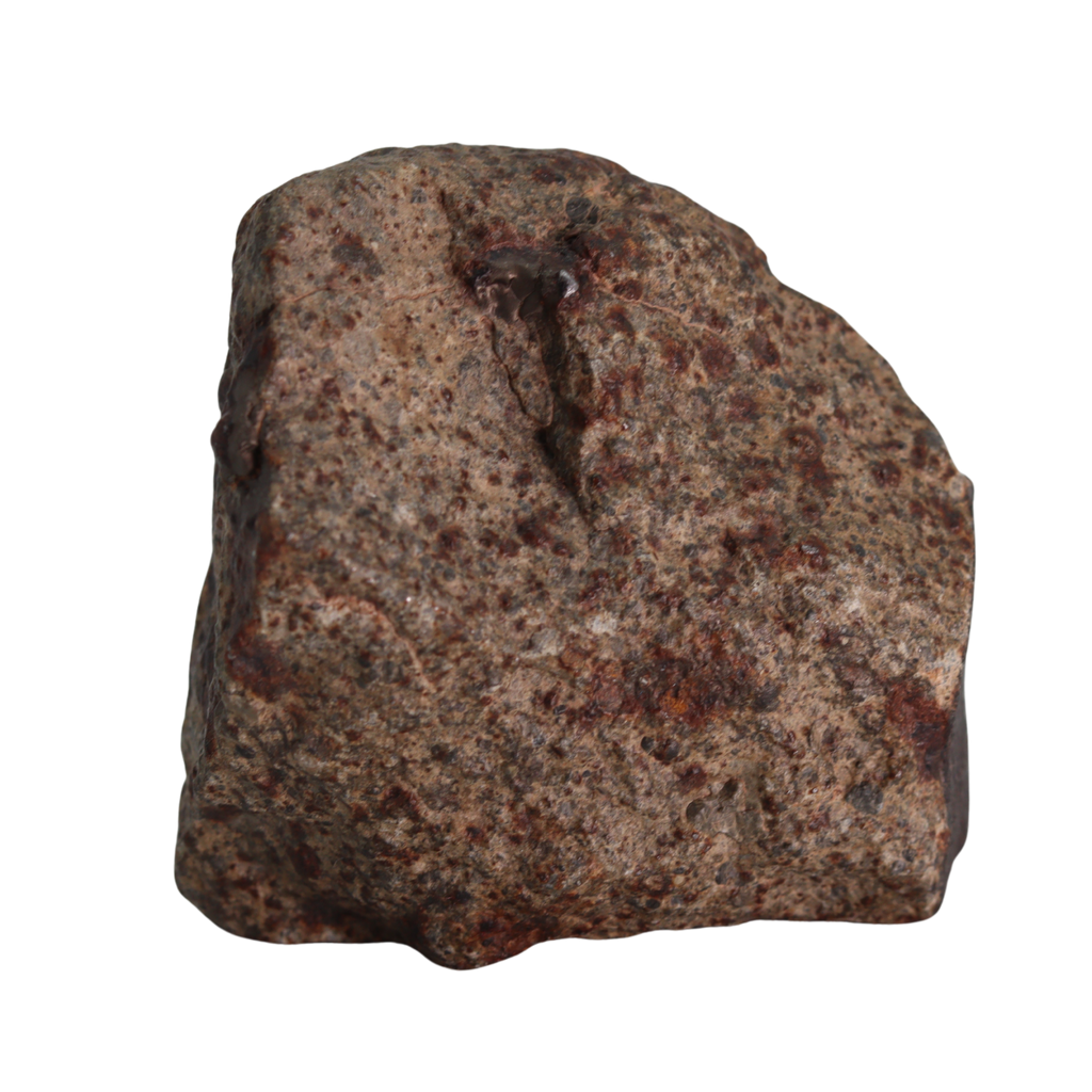 NWA 13281 Meteorite L5 Chondrite (165 g). - MBS meteorite 