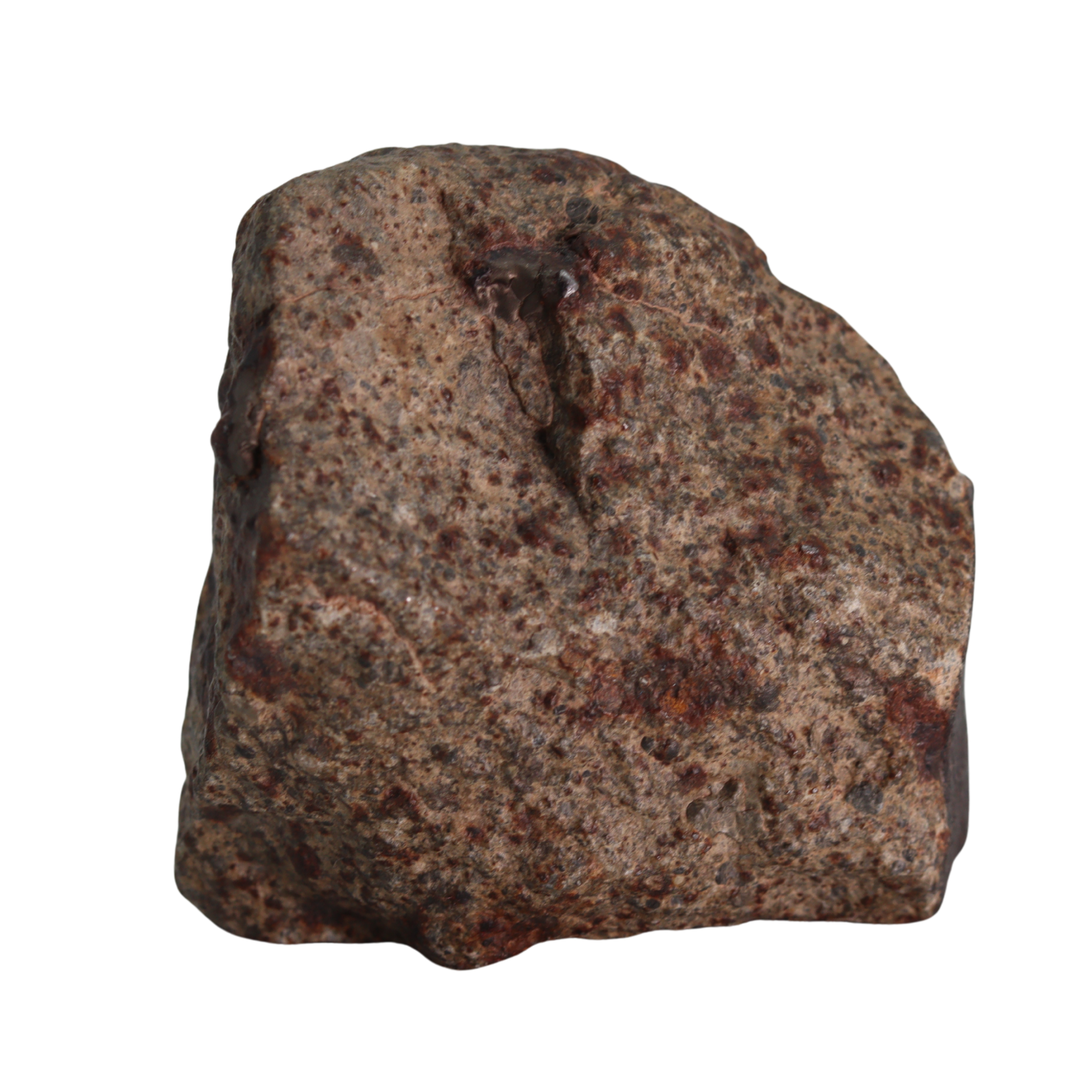 NWA 13281 Meteorite L5 Chondrite (165 g). - MBS meteorite 