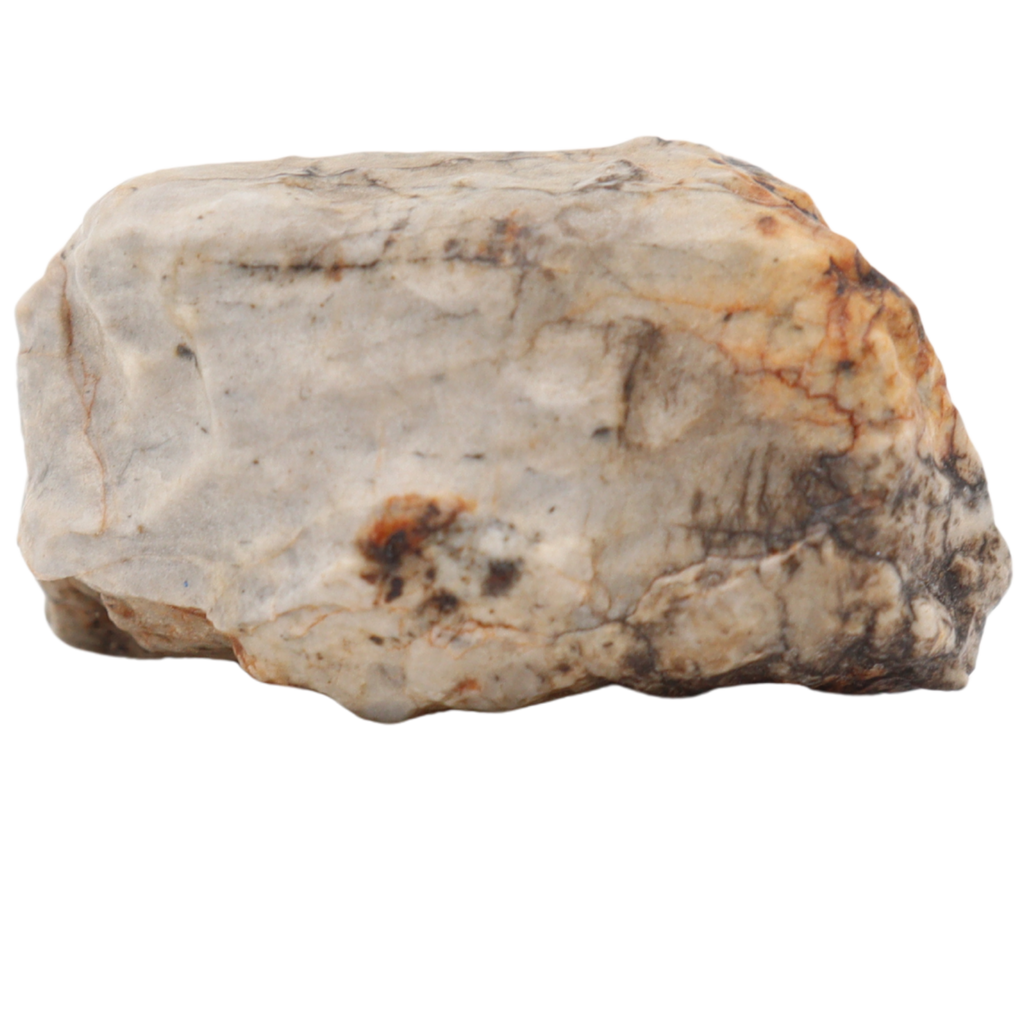 Djoua 001 Meteorite Aubrite Enstatite Achondrite (12.1 g). - MBS meteorite 