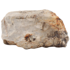 Djoua 001 Meteorite Aubrite Enstatite Achondrite (12.1 g). - MBS meteorite 