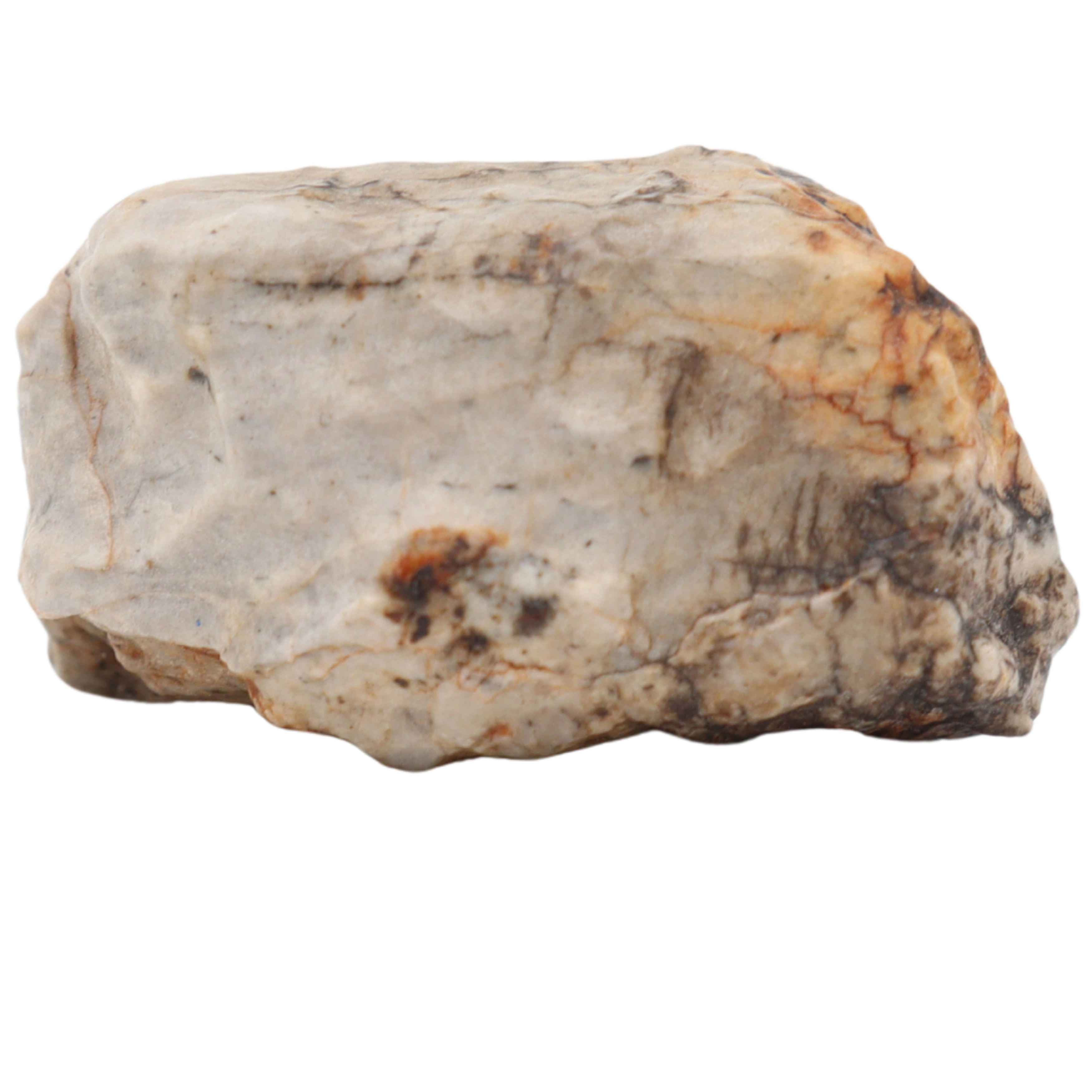 Djoua 001 Meteorite Aubrite Enstatite Achondrite (12.1 g). - MBS meteorite 