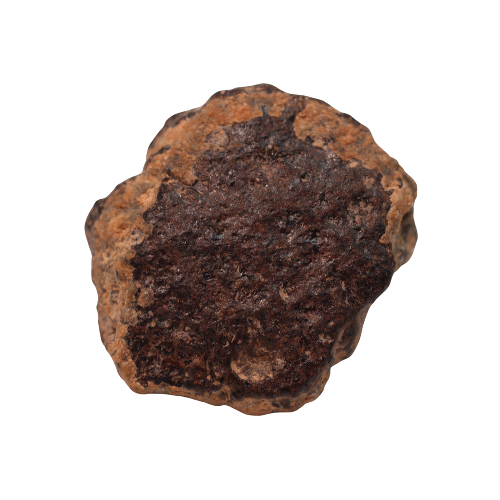 Rafsa 007 Meteorite Angrite Achondrite (6.3 g) - MBS meteorite 