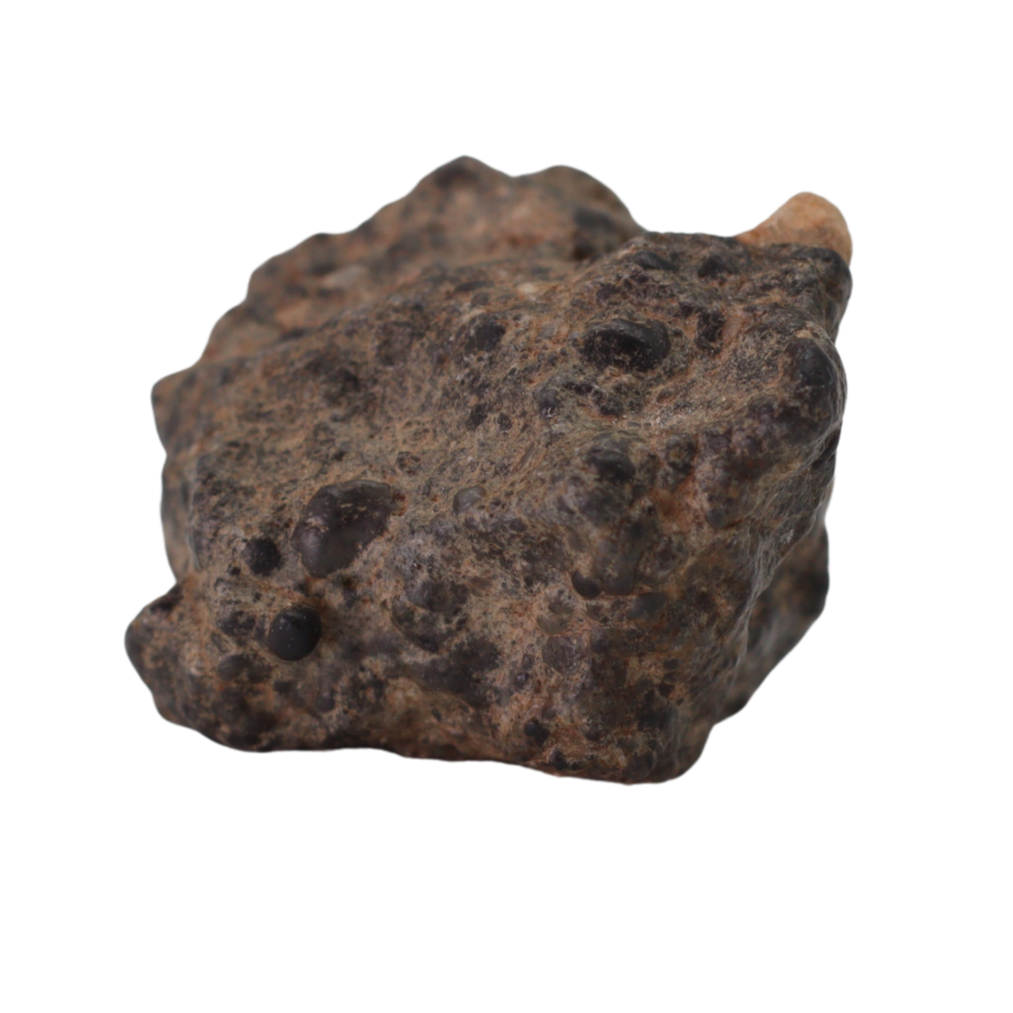 Bechar 003 Meteorite Lunar Feldspathic Breccia (2.76 g). - MBS meteorite 