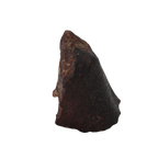 NWA 13281 Meteorite L5 Chondrite (50 g). - MBS meteorite 