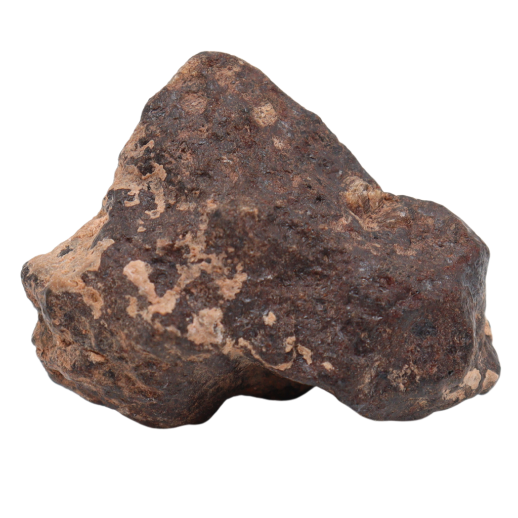 Rafsa 007 Meteorite Plutonic Angrite (13 g). - MBS meteorite 