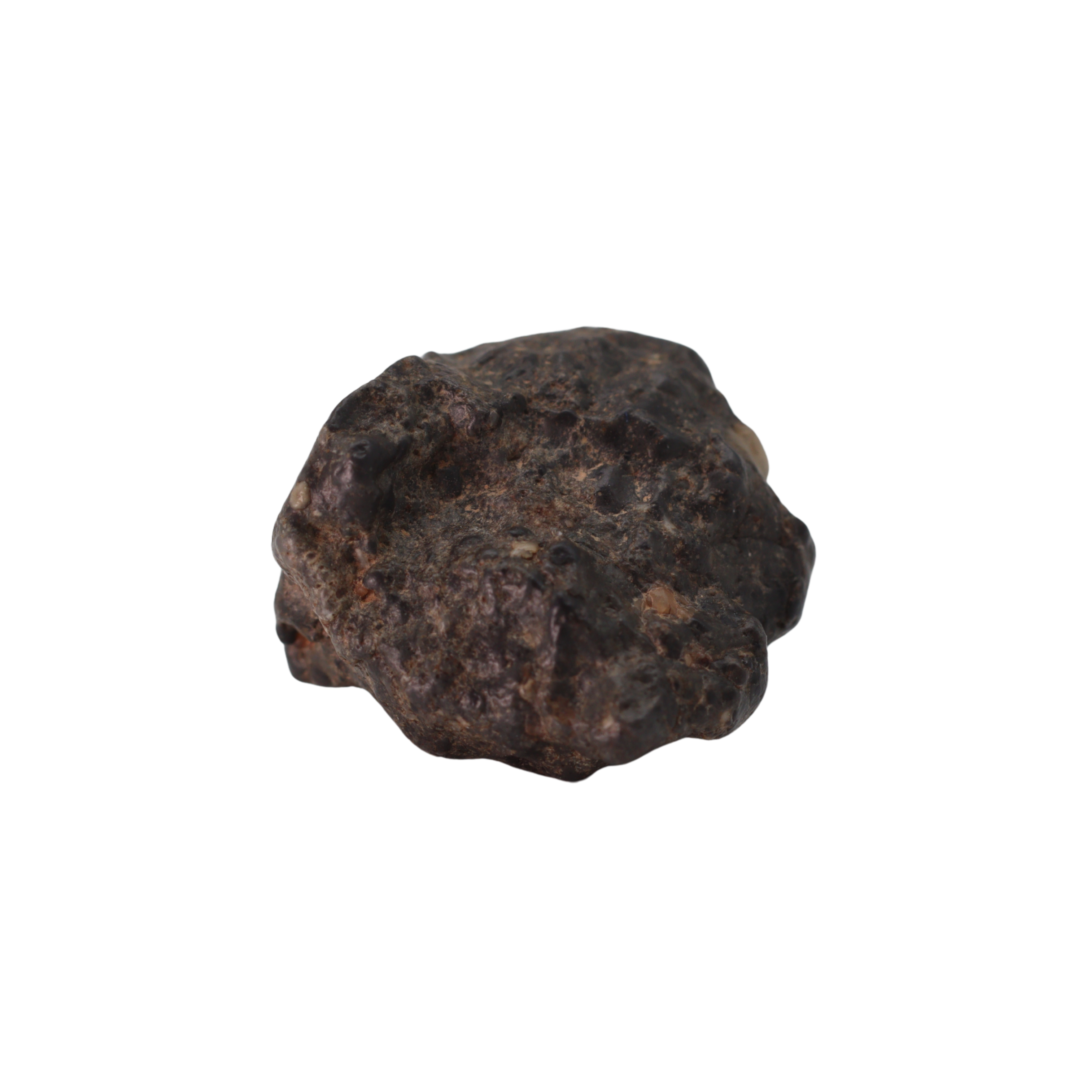 Bechar 003 Meteorite Lunar Feldspathic Breccia (4.28 g). - MBS meteorite 