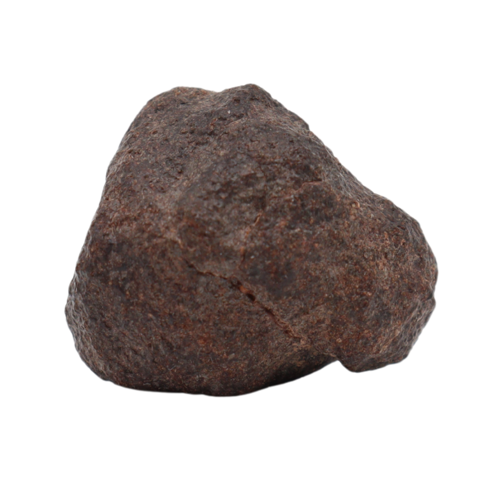 NWA 16208 Rare Primitive Achondrite Winonaite (6.6 g). - MBS meteorite 