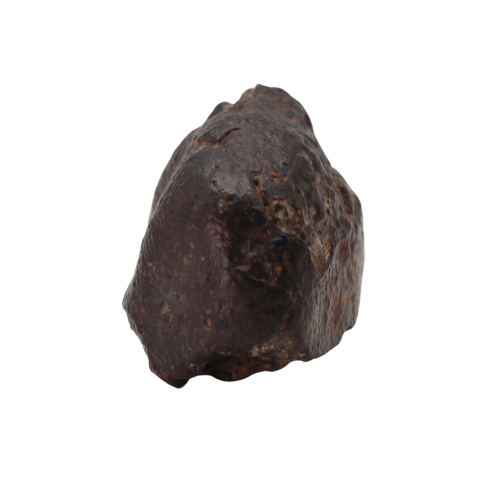 NWA 869 Meteorite - Famous L3-6 Regolith Breccia (42.09 g). - MBS meteorite 