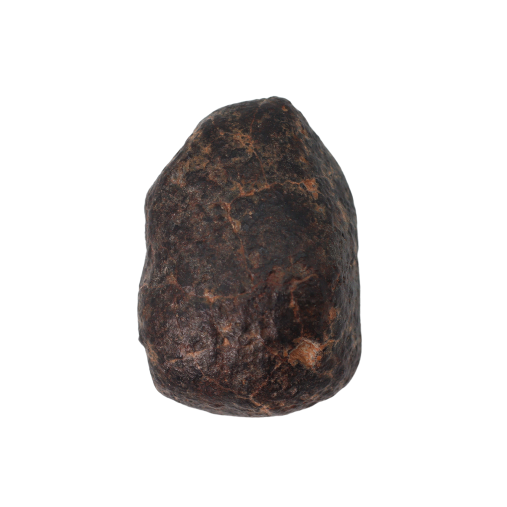 NWA 869 Meteorite Ordinary Chondrite Regolith Breccia (3.09 g) - MBS meteorite 