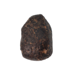 NWA 869 Meteorite Ordinary Chondrite Regolith Breccia (3.09 g) - MBS meteorite 