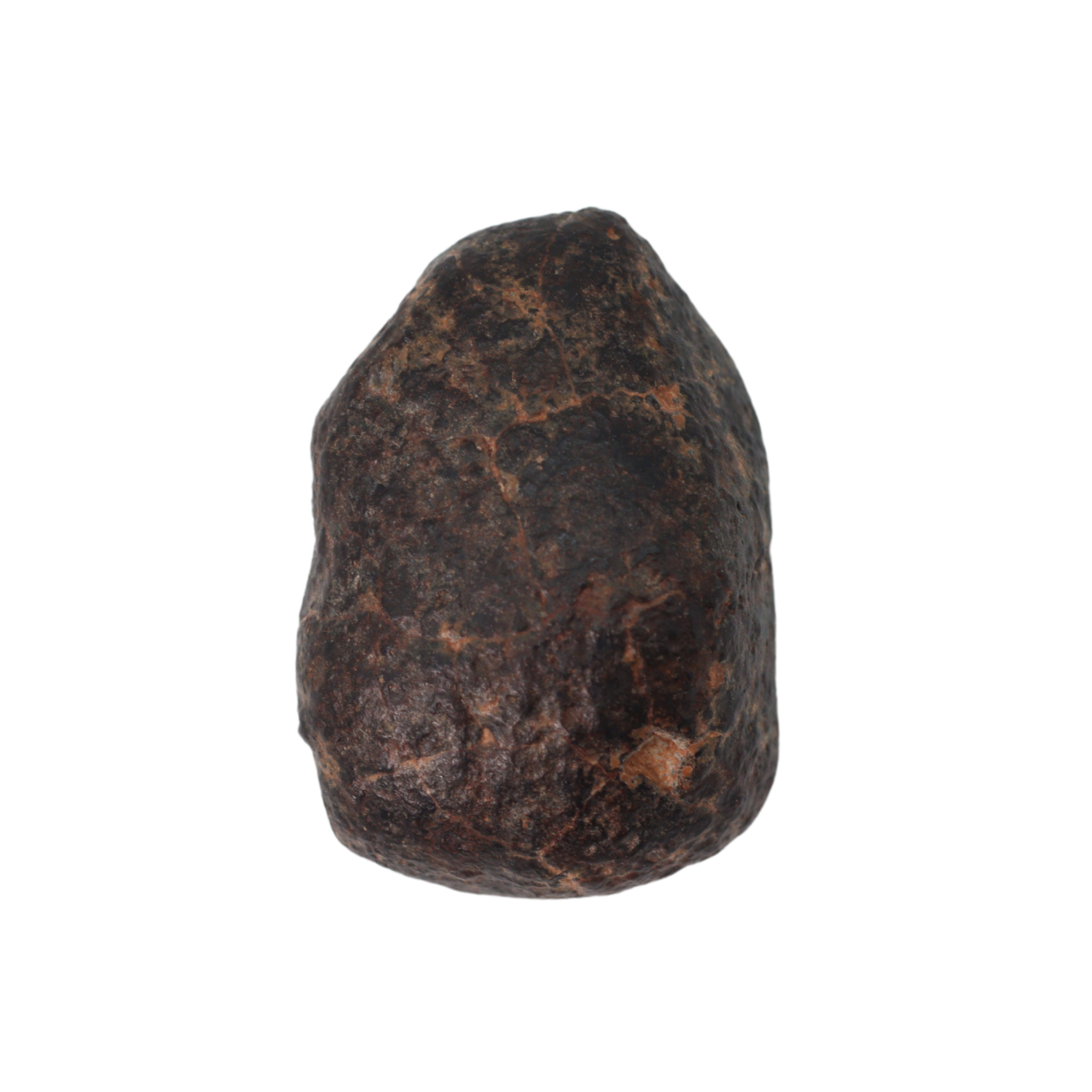 NWA 869 Meteorite Ordinary Chondrite Regolith Breccia (3.09 g) - MBS meteorite 