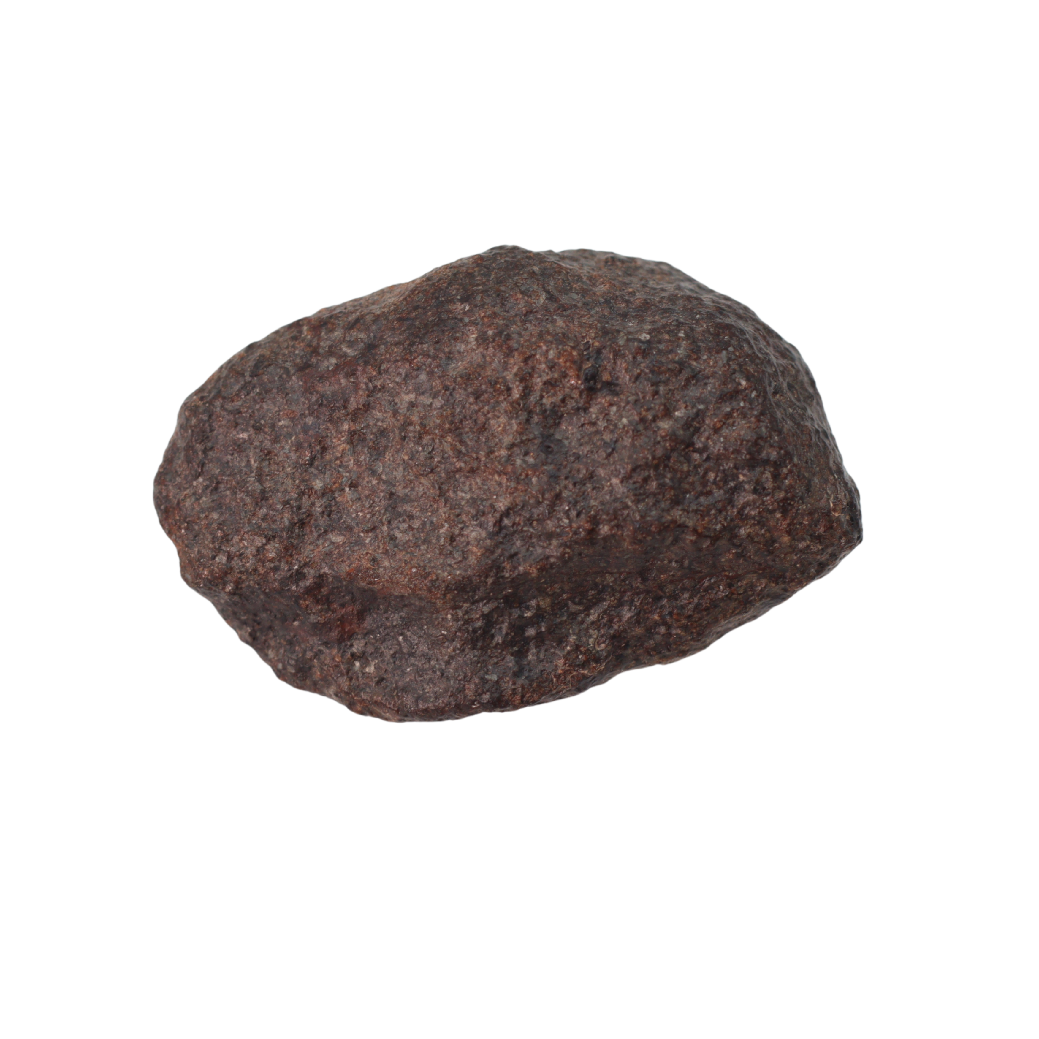 NWA 16208 Meteorite Winonaite Primitive Achondrite (5.7 g). - MBS meteorite 