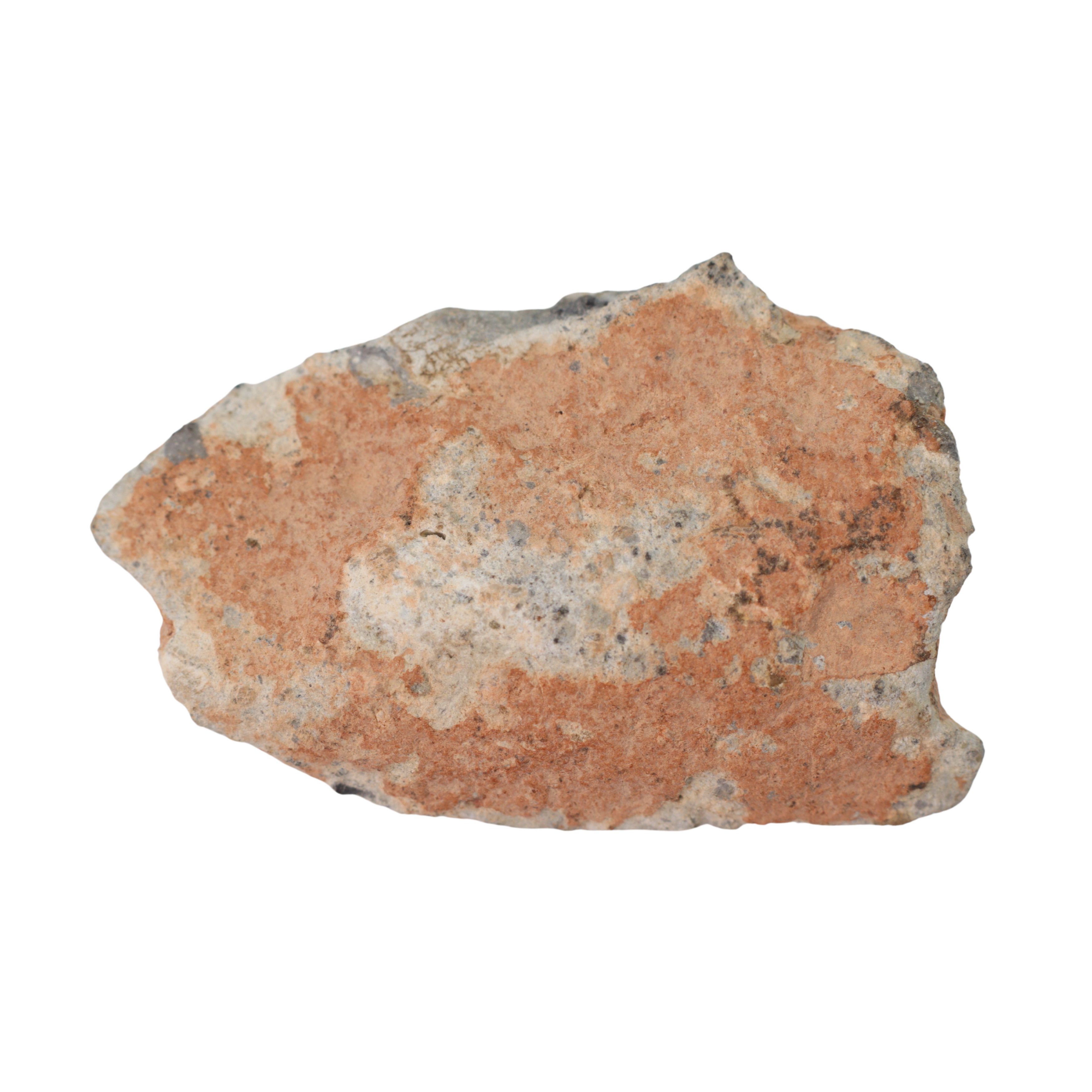 Bechar 003 Meteorite Lunar Feldspathic Breccia (10.2 g) - MBS meteorite 