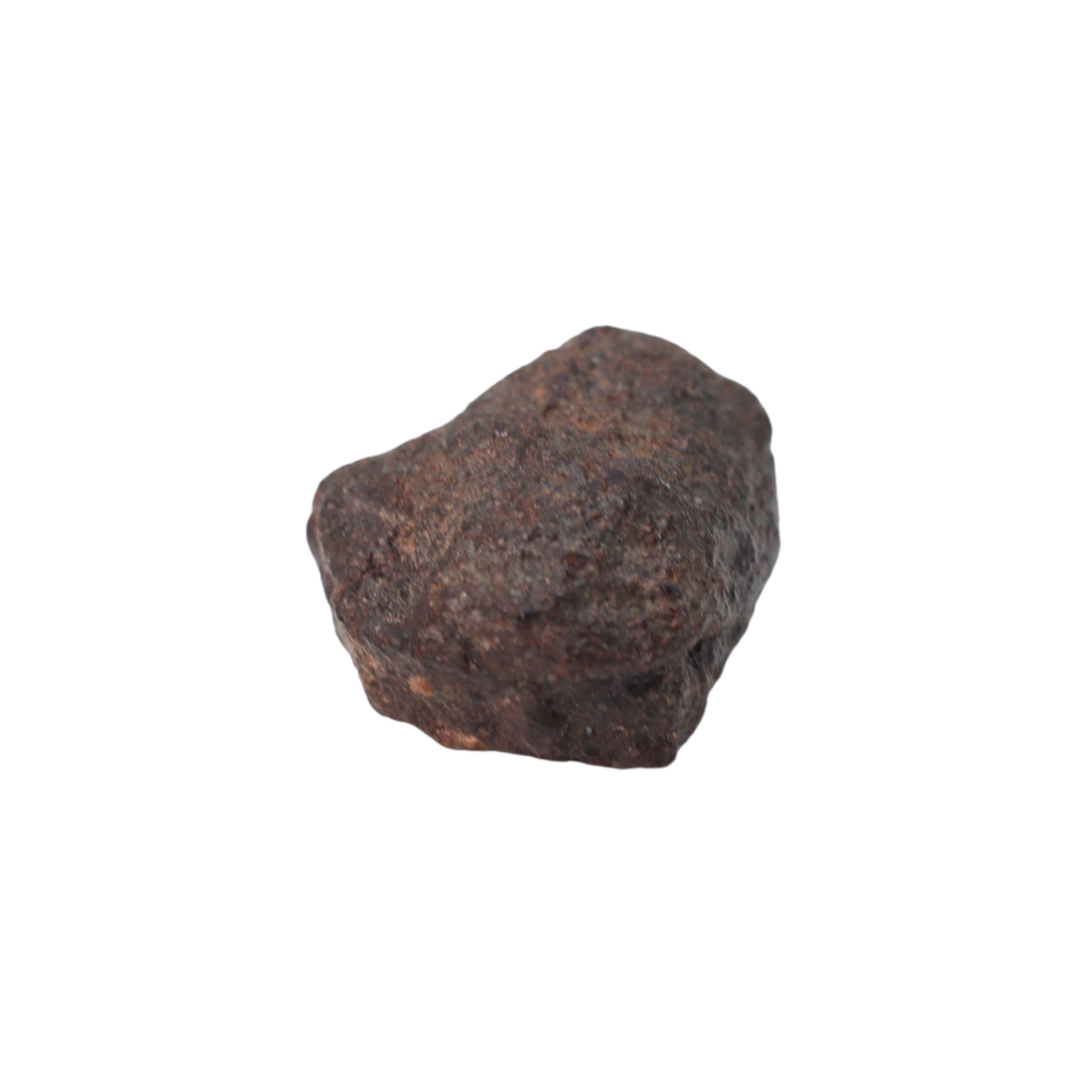 NWA 16208 Meteorite Winonaite Primitive Achondrite (1.58 g). - MBS meteorite 