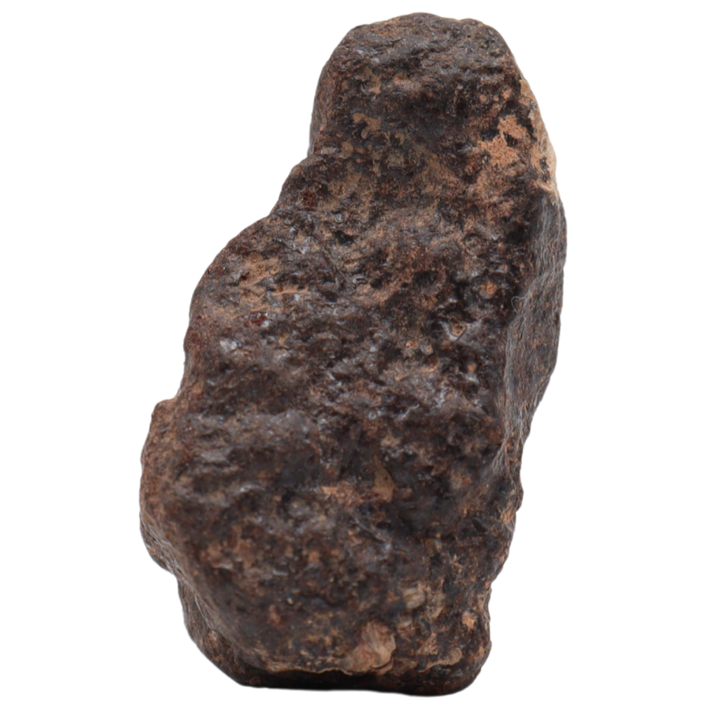 Rafsa 007 Meteorite Plutonic Angrite (11.2 g). - MBS meteorite 