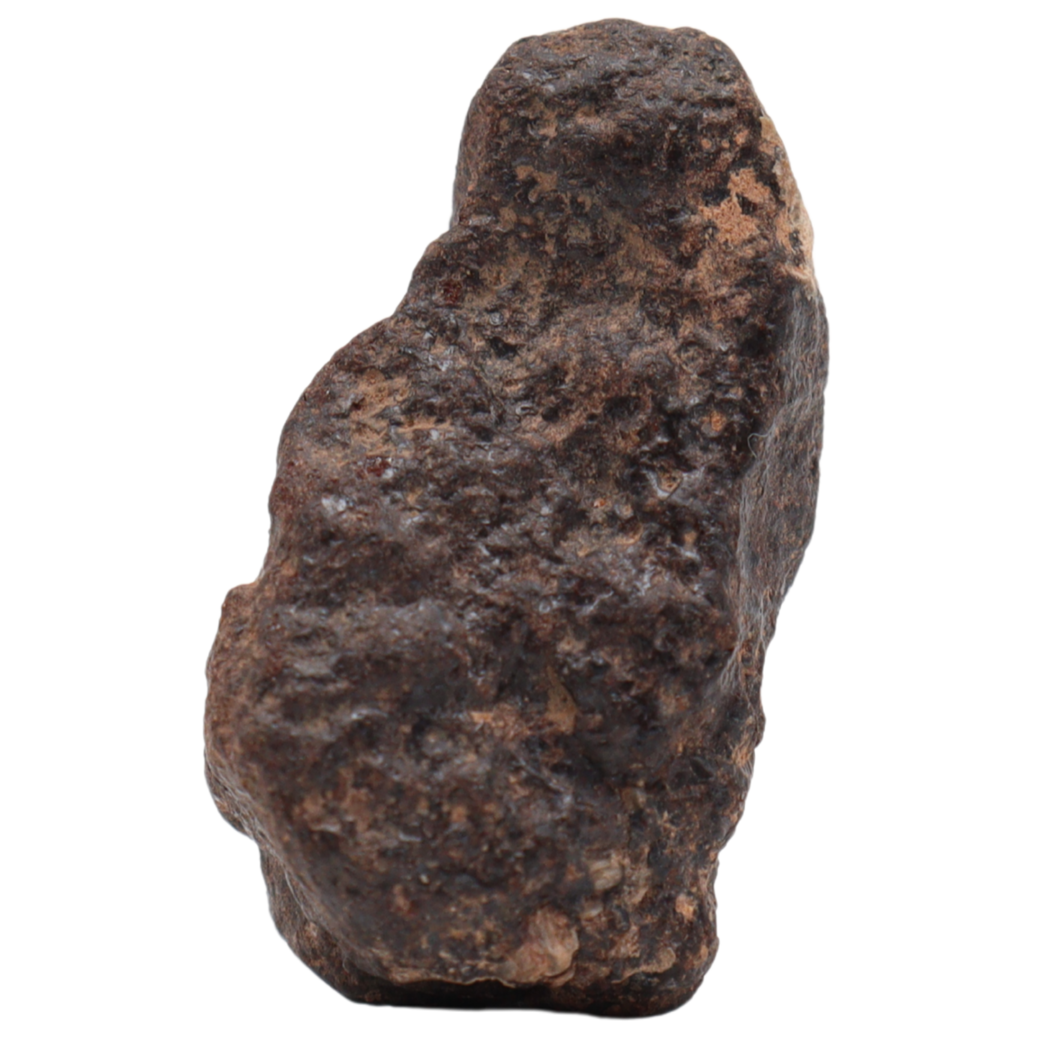 Rafsa 007 Meteorite Plutonic Angrite (11.2 g). - MBS meteorite 