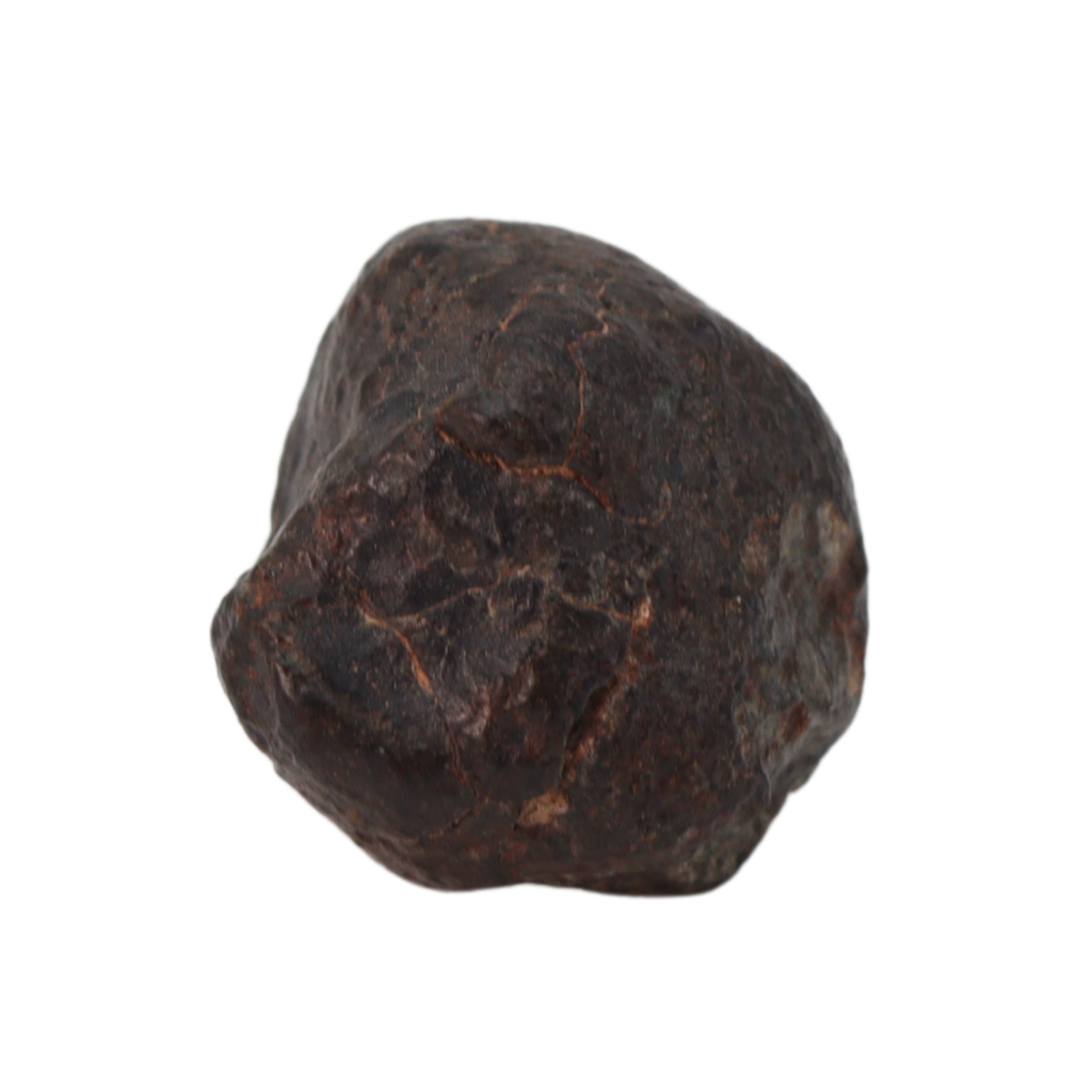 NWA 869 Meteorite Ordinary Chondrite Regolith Breccia (10.78 g) - MBS meteorite 