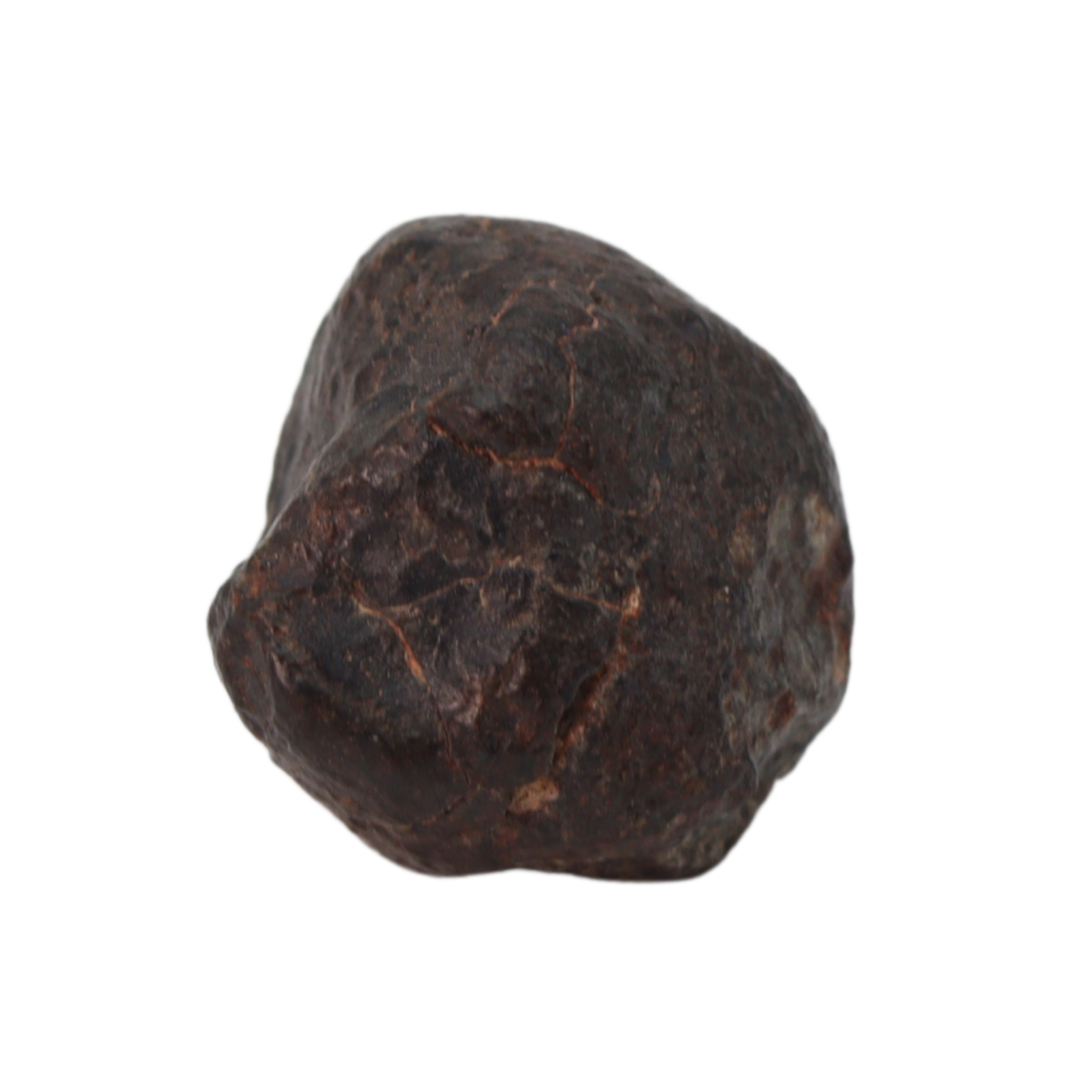 NWA 869 Meteorite Ordinary Chondrite Regolith Breccia (10.78 g) - MBS meteorite 