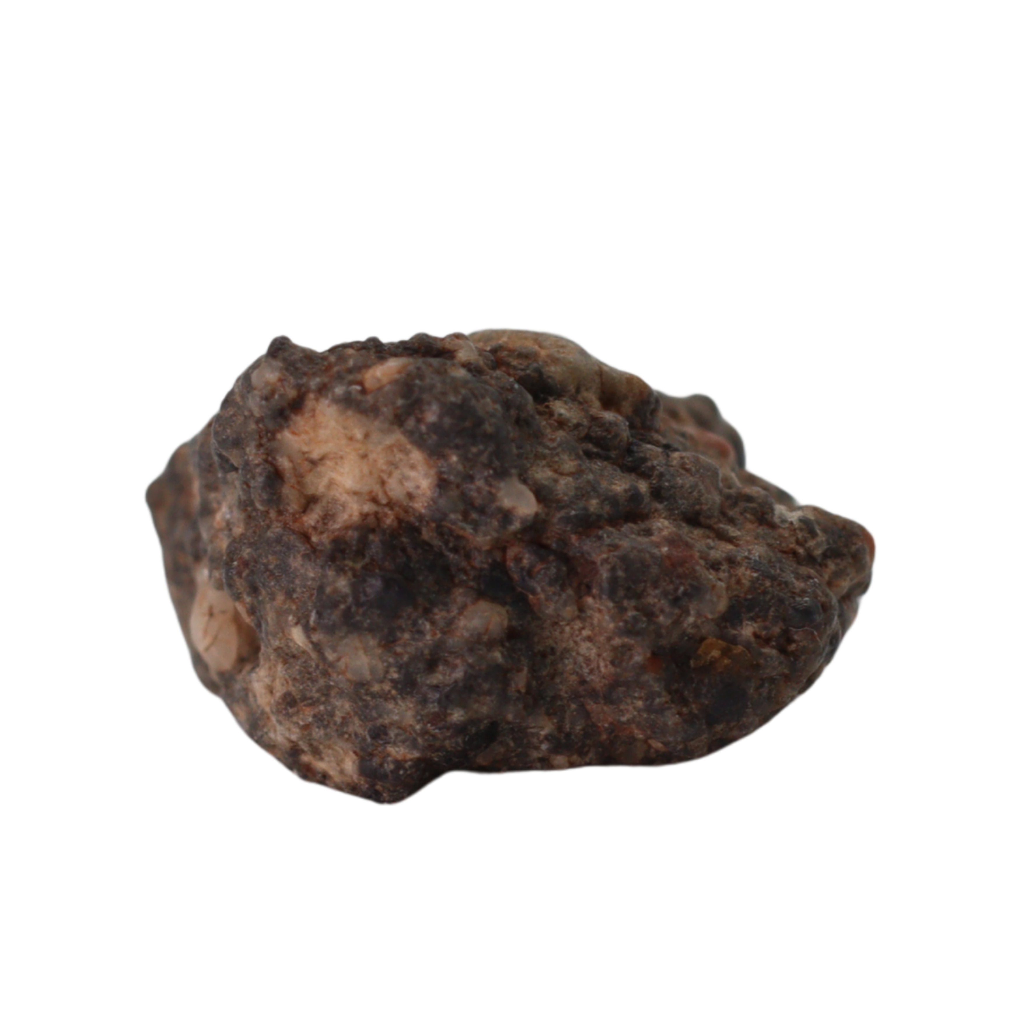 Bechar 003 Meteorite Lunar Feldspathic Breccia (1.3 g). - MBS meteorite 