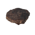 NWA 869 Meteorite Ordinary Chondrite Regolith Breccia (4.4 g) - MBS meteorite 