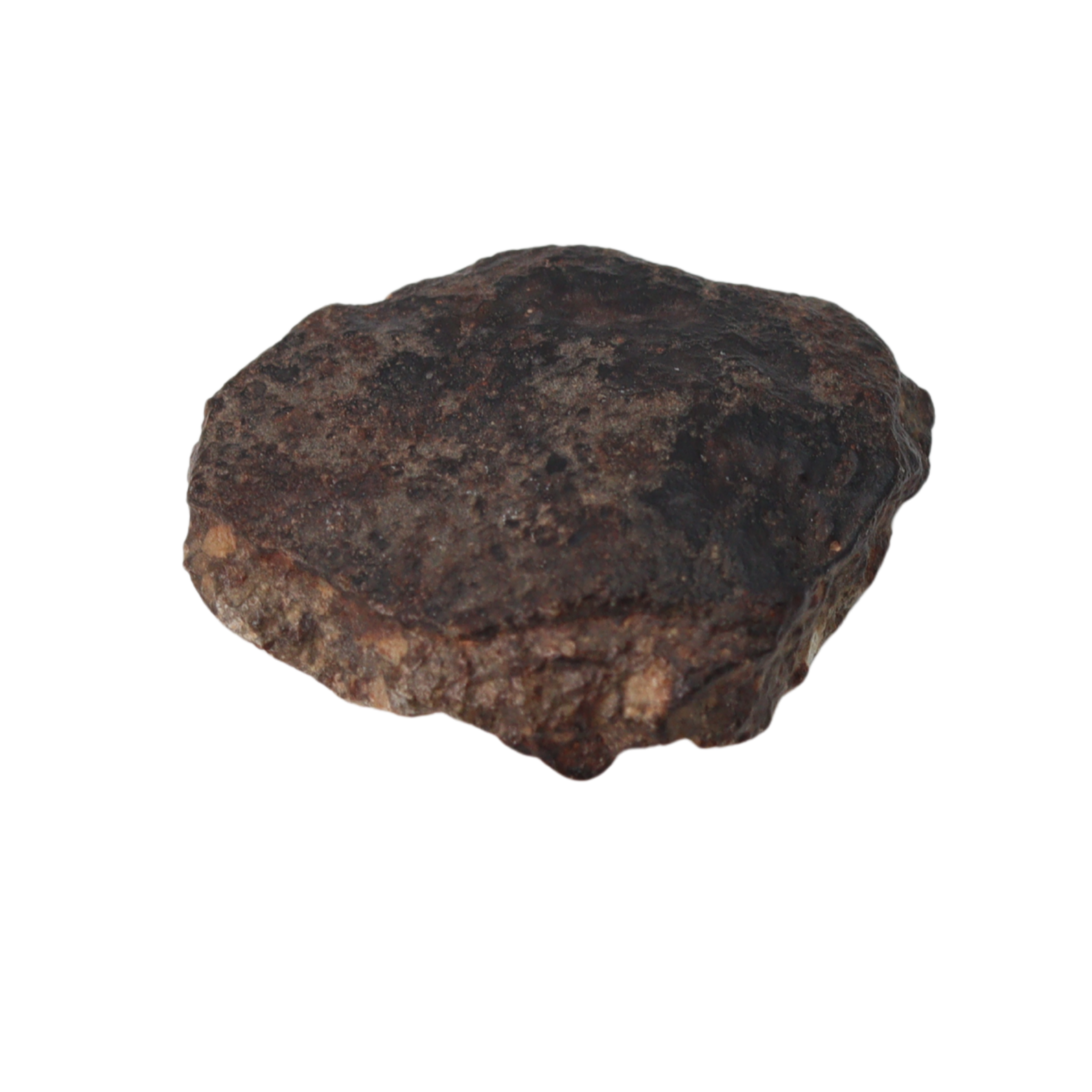 NWA 869 Meteorite Ordinary Chondrite Regolith Breccia (4.4 g) - MBS meteorite 