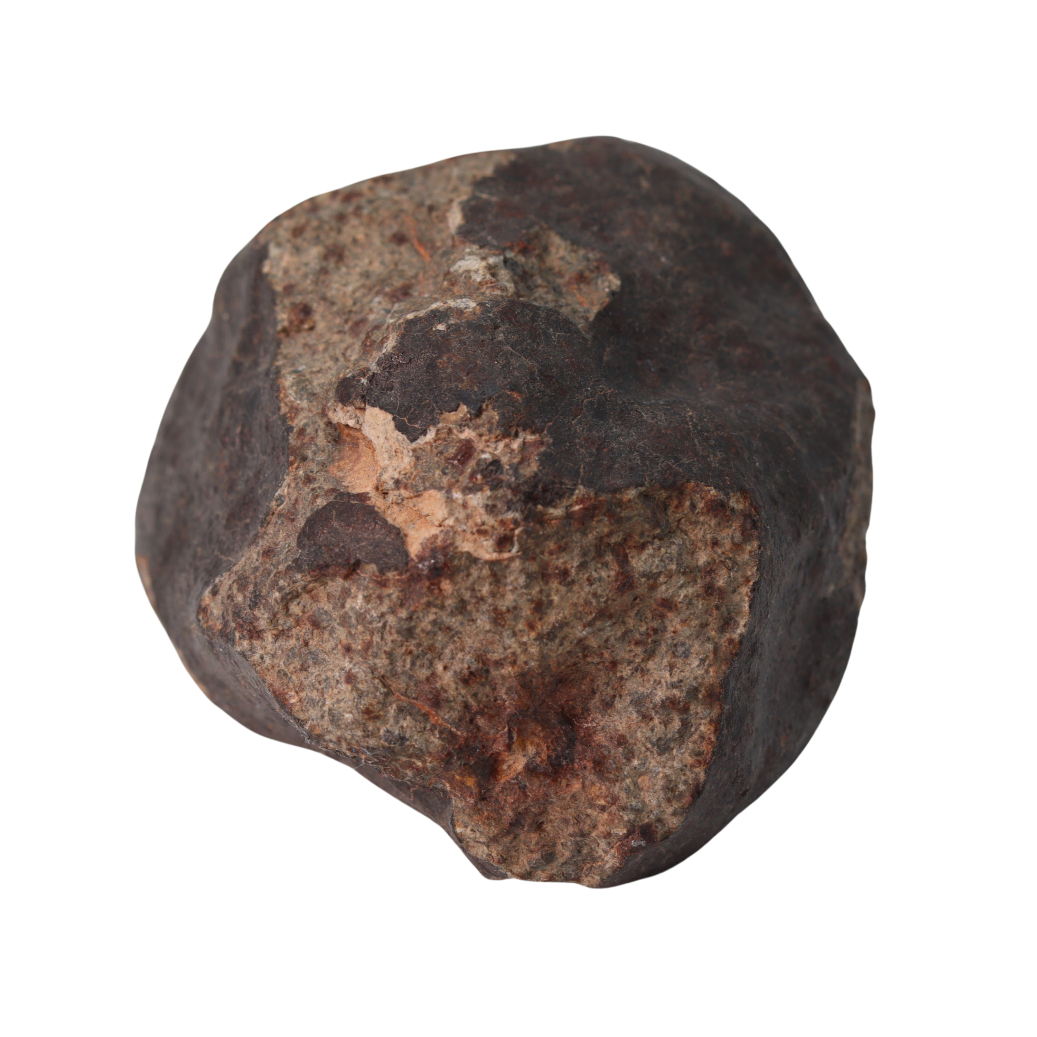 NWA 13281 Meteorite Ordinary Chondrite L5 (250 g) - MBS meteorite 
