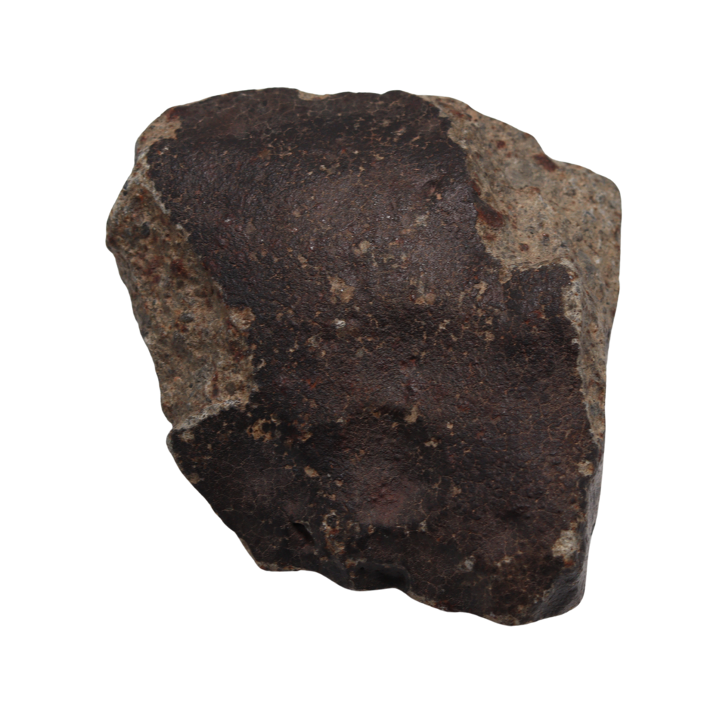 NWA 13281 Meteorite L5 Chondrite with Fusion Crust (175 g). - MBS meteorite 