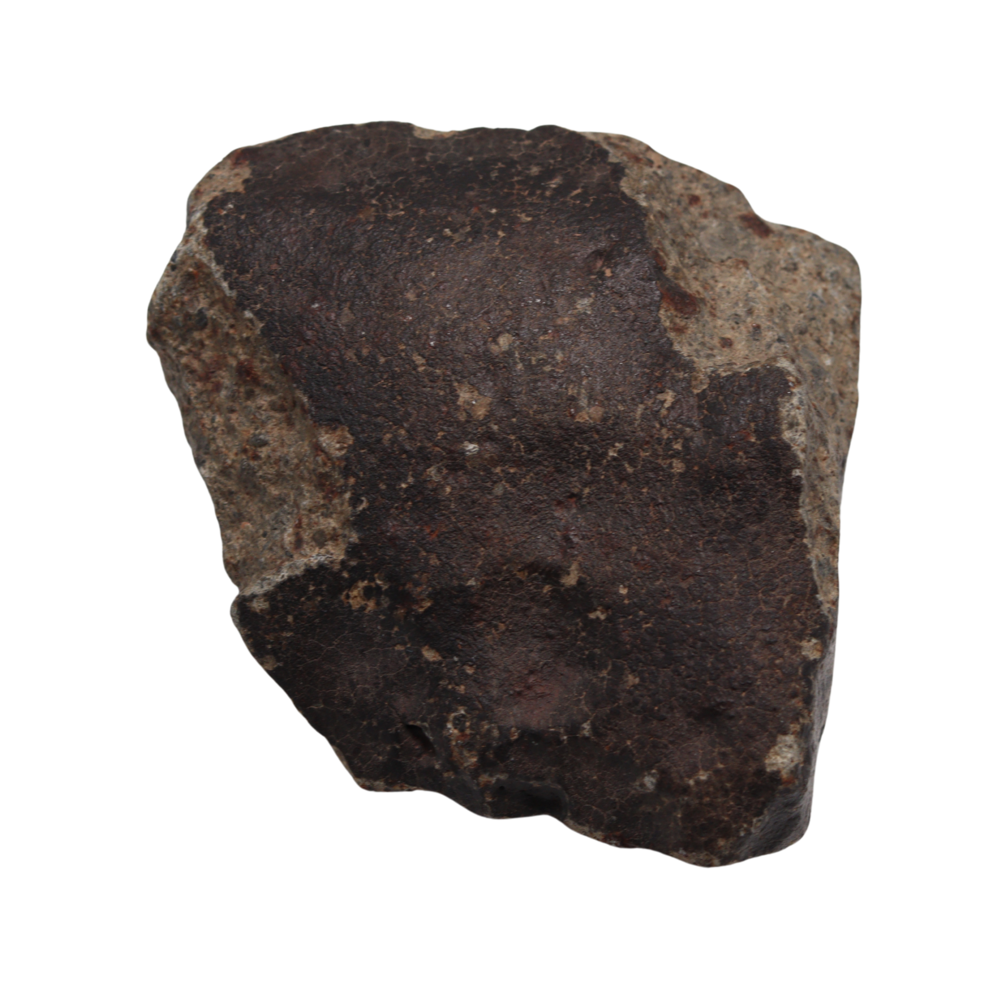 NWA 13281 Meteorite L5 Chondrite with Fusion Crust (175 g). - MBS meteorite 