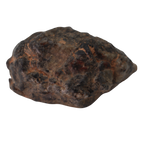 Bechar 003 Meteorite Lunar Feldspathic Breccia (4.00 g). - MBS meteorite 