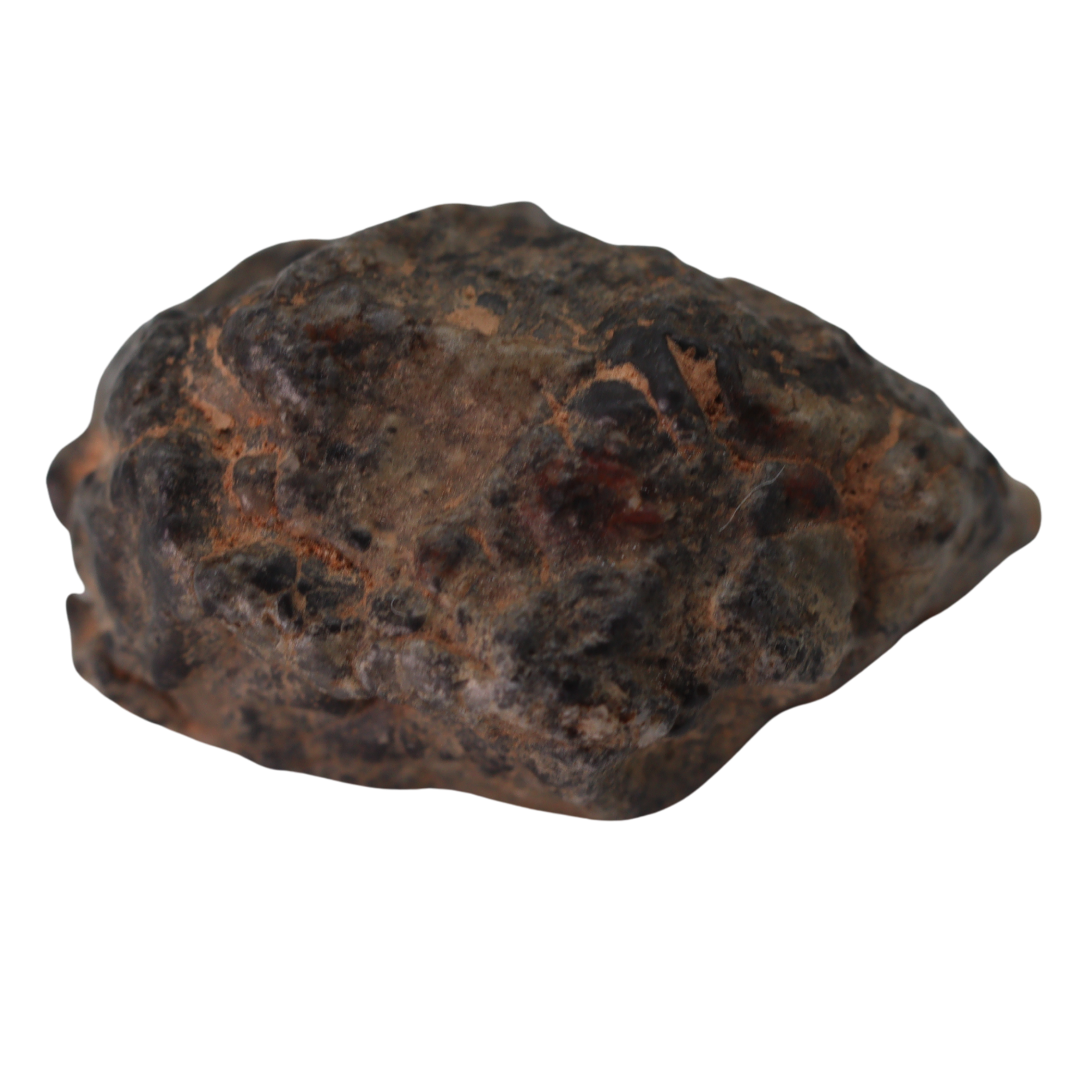 Bechar 003 Meteorite Lunar Feldspathic Breccia (4.00 g). - MBS meteorite 