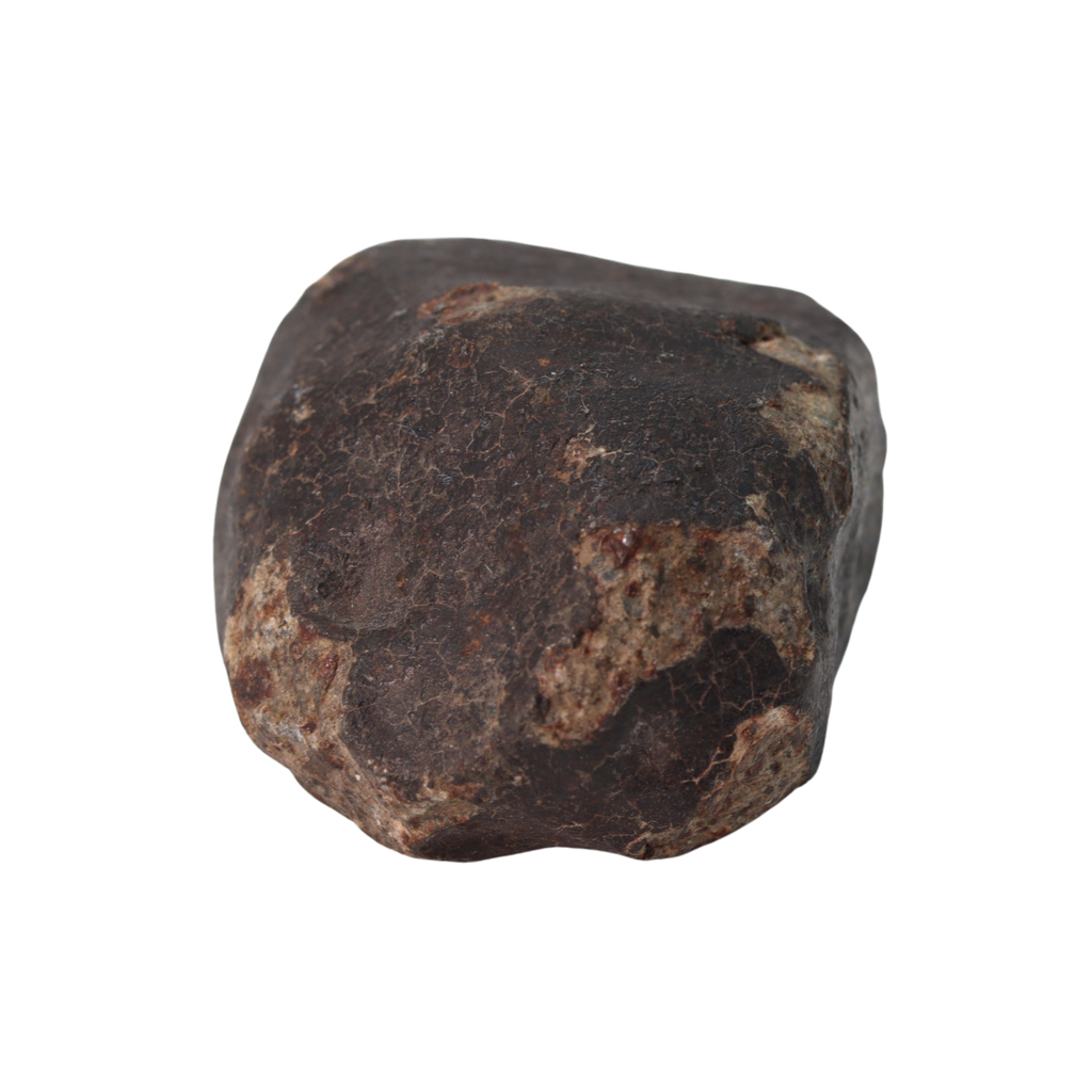 NWA 13281 Meteorite Ordinary Chondrite L5 (109 g) - MBS meteorite 