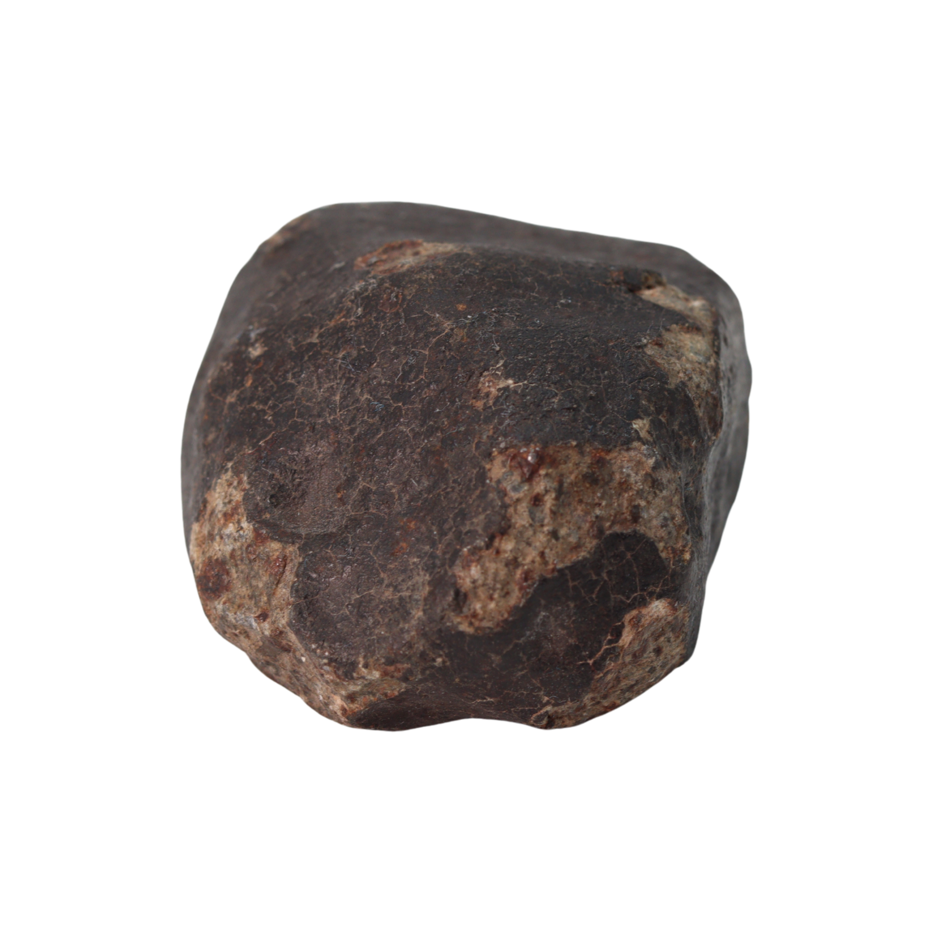 NWA 13281 Meteorite Ordinary Chondrite L5 (109 g) - MBS meteorite 