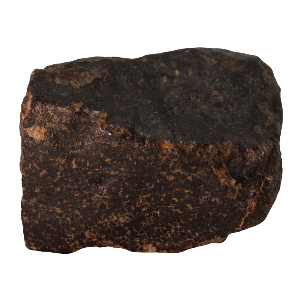 NWA 13281 Meteorite Massive L5 Chondrite Cabinet Specimen (781 g). - MBS meteorite 