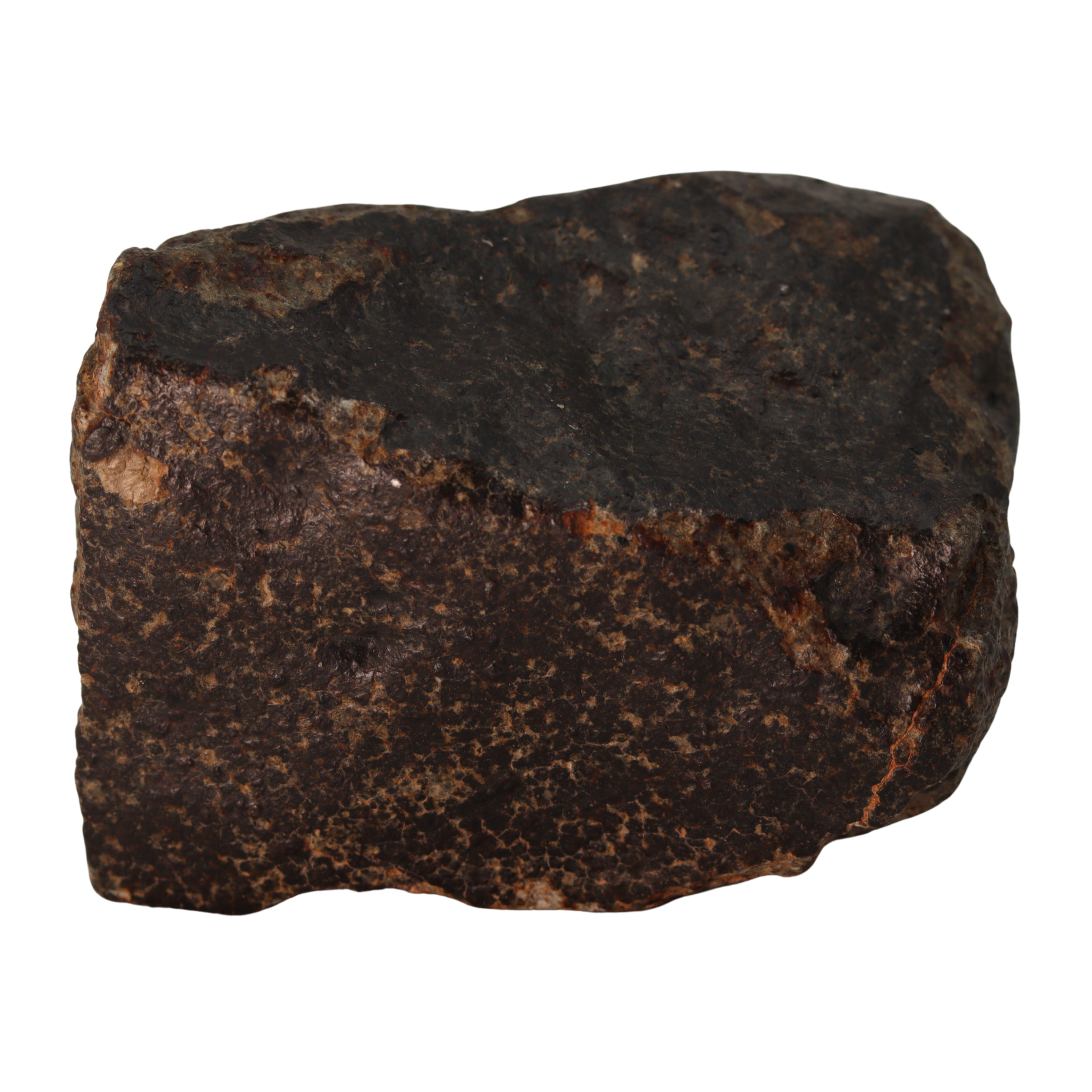 NWA 13281 Meteorite Massive L5 Chondrite Cabinet Specimen (781 g). - MBS meteorite 