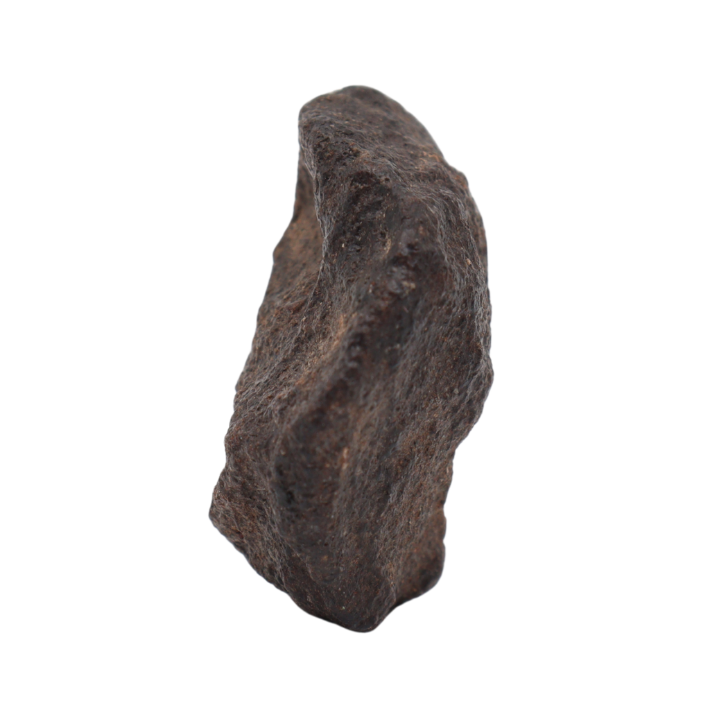 NWA 16208 Meteorite Winonaite Primitive Achondrite(14.2 g). - MBS meteorite 