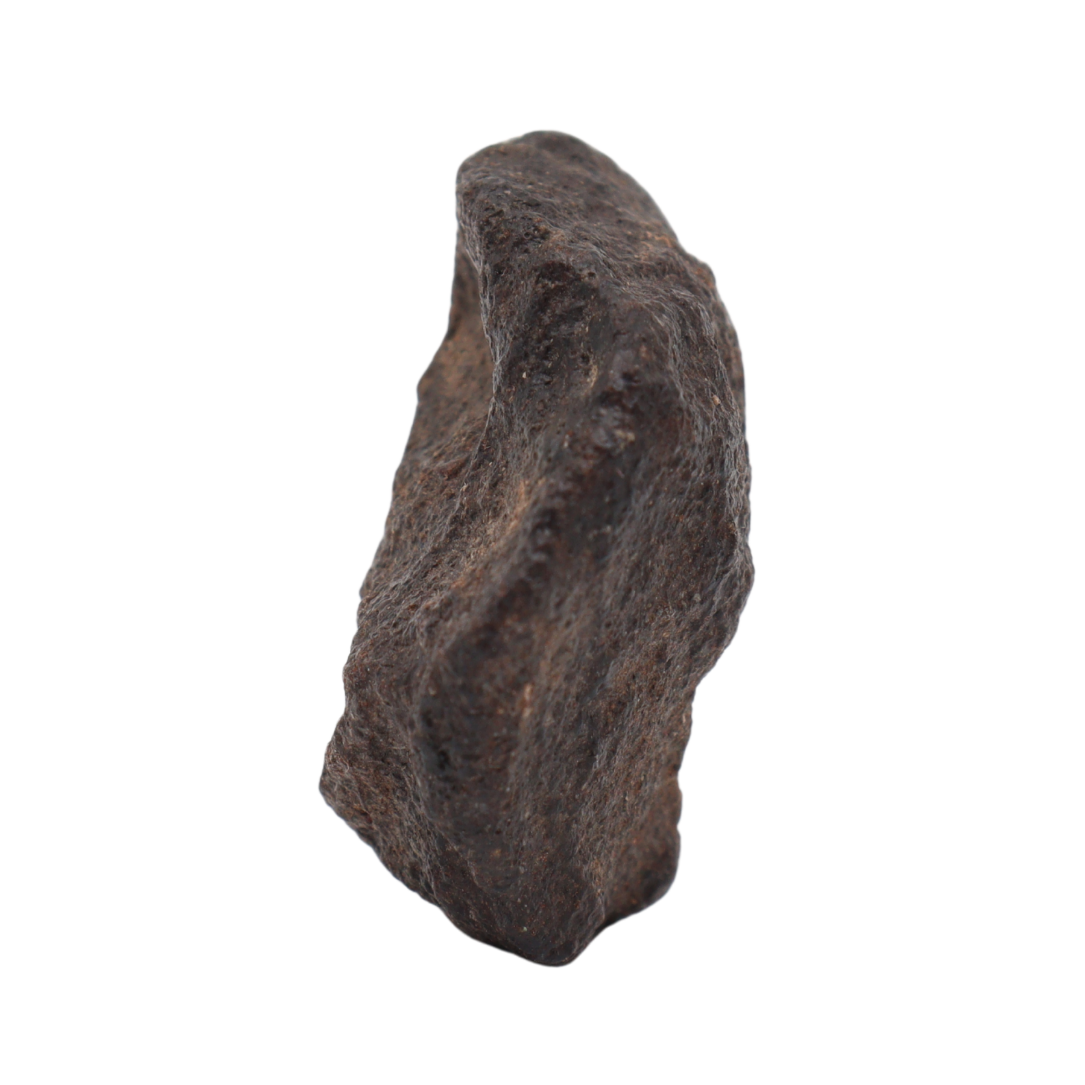 NWA 16208 Meteorite Winonaite Primitive Achondrite(14.2 g). - MBS meteorite 