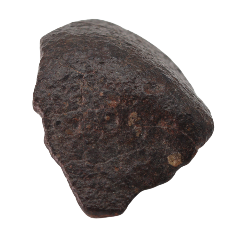 NWA 869 Meteorite L3-6 Regolith Breccia (23.69 g). - MBS meteorite 